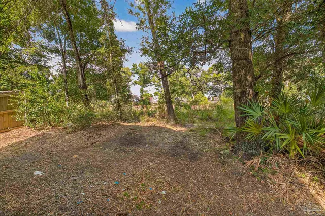 a view of outdoor space and trees