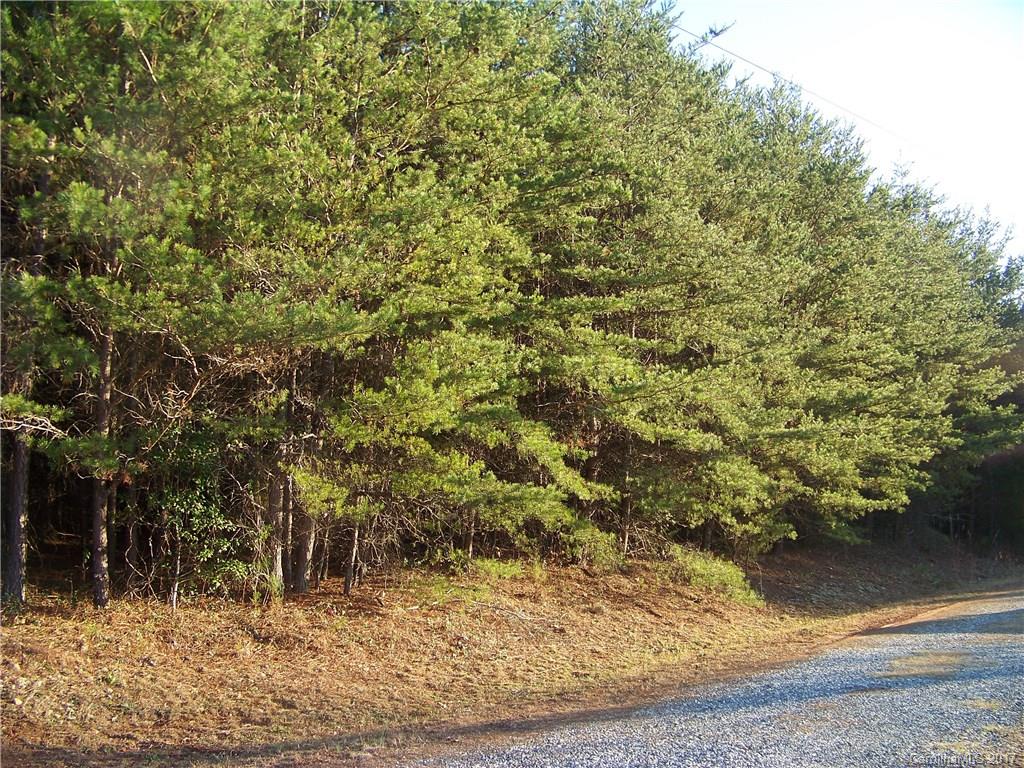 0 Blue Ridge Drive Rutherfordton, NC 28139 - Photo 1 of 2 a view of a yard with plants