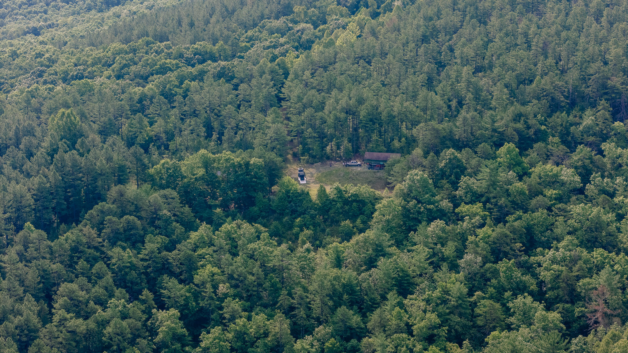 0 Sugar Tree Hollow Road Eagle Rock, VA 24085 - Photo 4 of 18 Miller 19