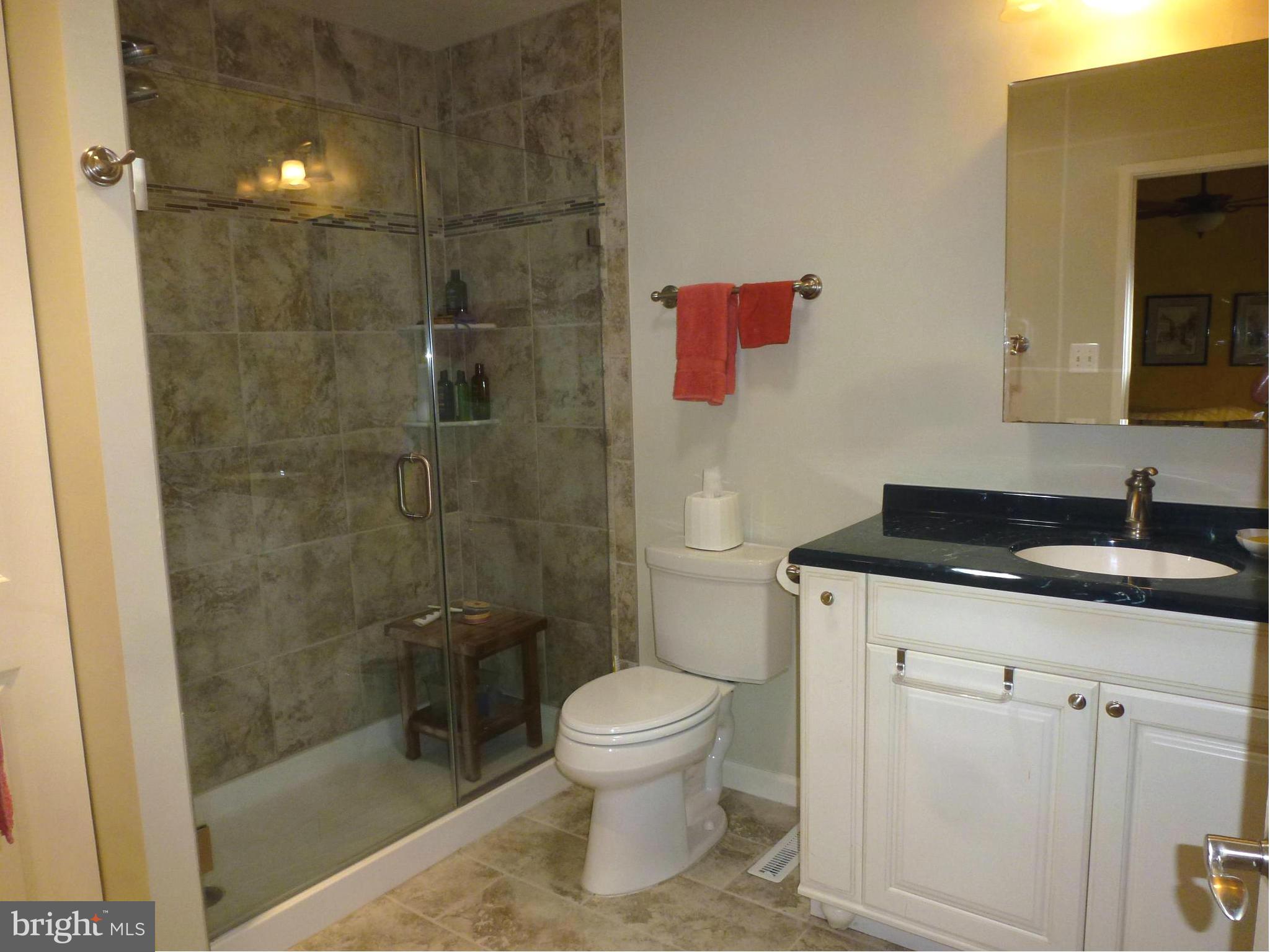 12132 Quorn Lane Reston, VA 20191 - Photo 18 of 30 Bath (Master)