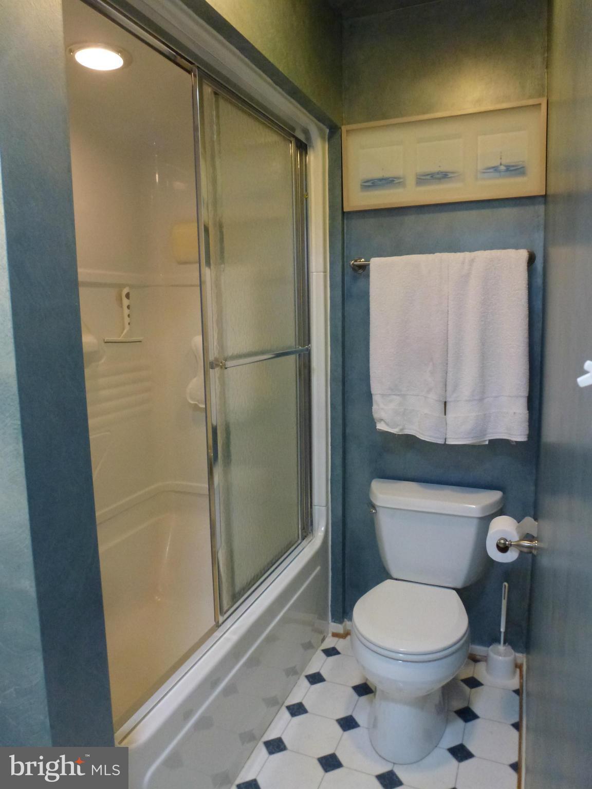 12132 Quorn Lane Reston, VA 20191 - Photo 24 of 30 Upstairs bath features a Steam Shower.