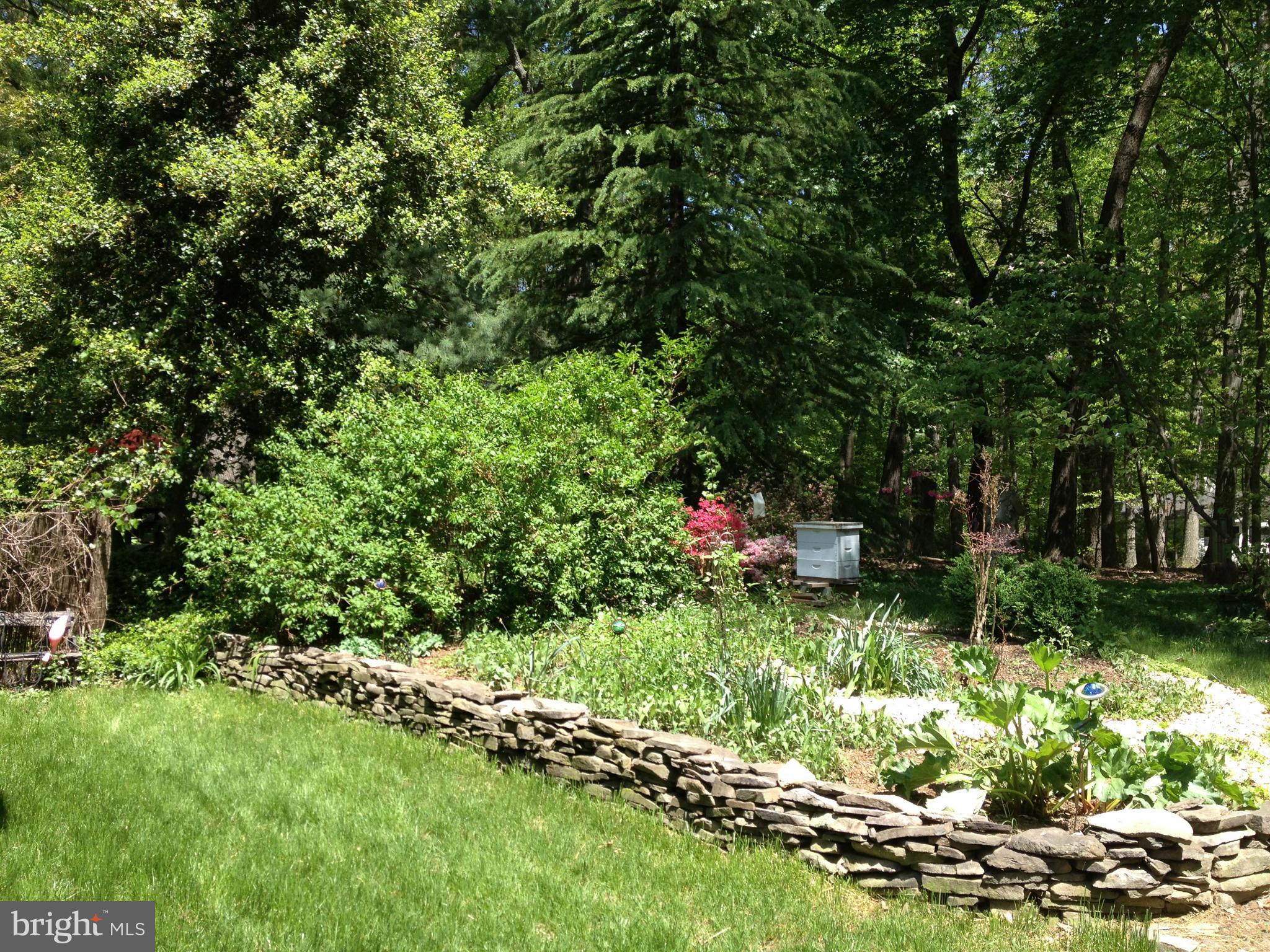 12132 Quorn Lane Reston, VA 20191 - Photo 28 of 30 Backyard has space for a vegetable/flower garden.