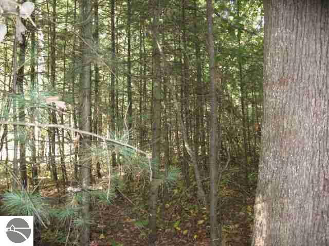 10606 Wildwood Road Interlochen, MI 49643 - Photo 15 of 25 1720999-14.JPG