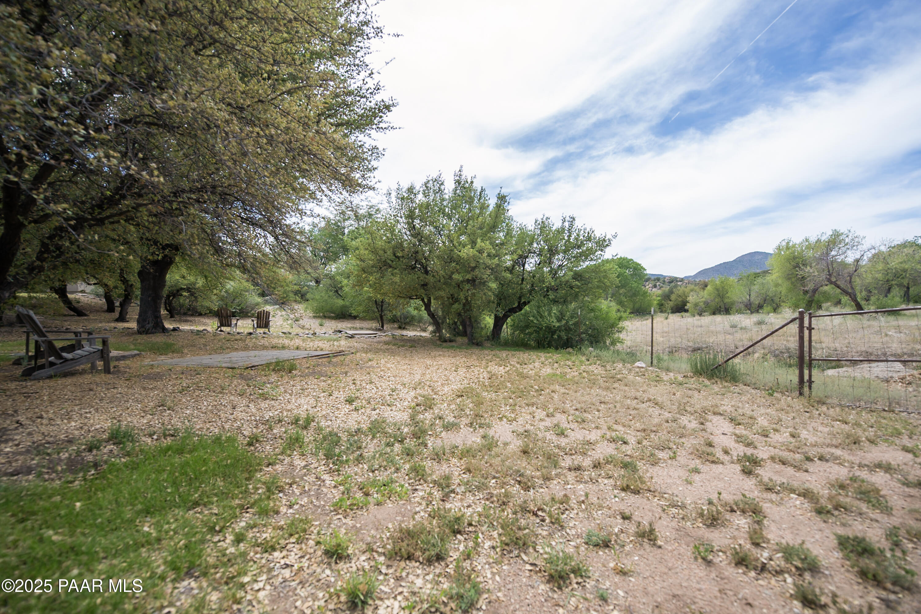 770 Grisby Road Skull Valley, AZ 86338 - Photo 49 of 58 a view of dirt yard with a large tree