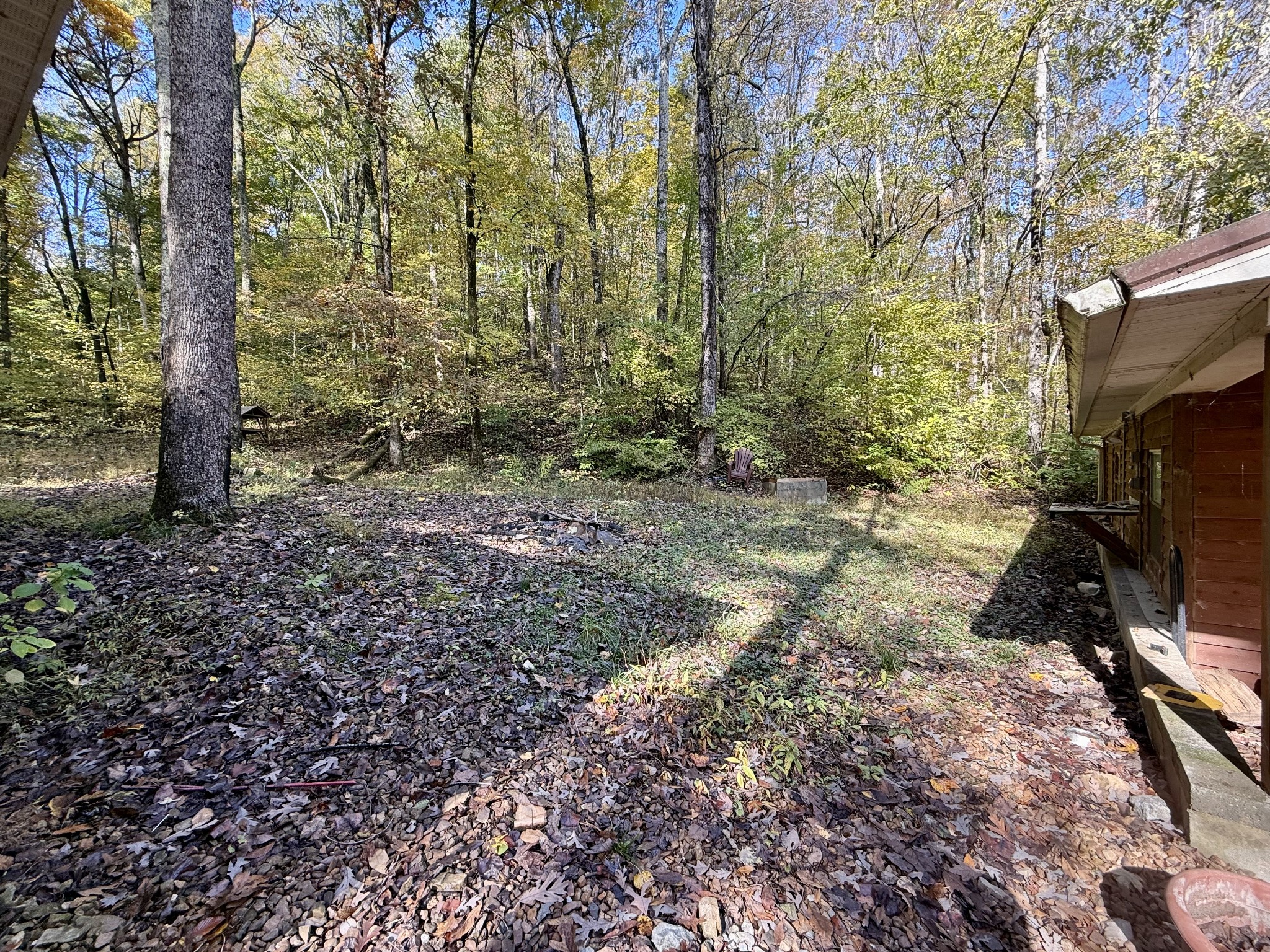 135 Haylee Road Waverly, TN 37185 - Photo 5 of 21 a backyard of a house with lots of green space