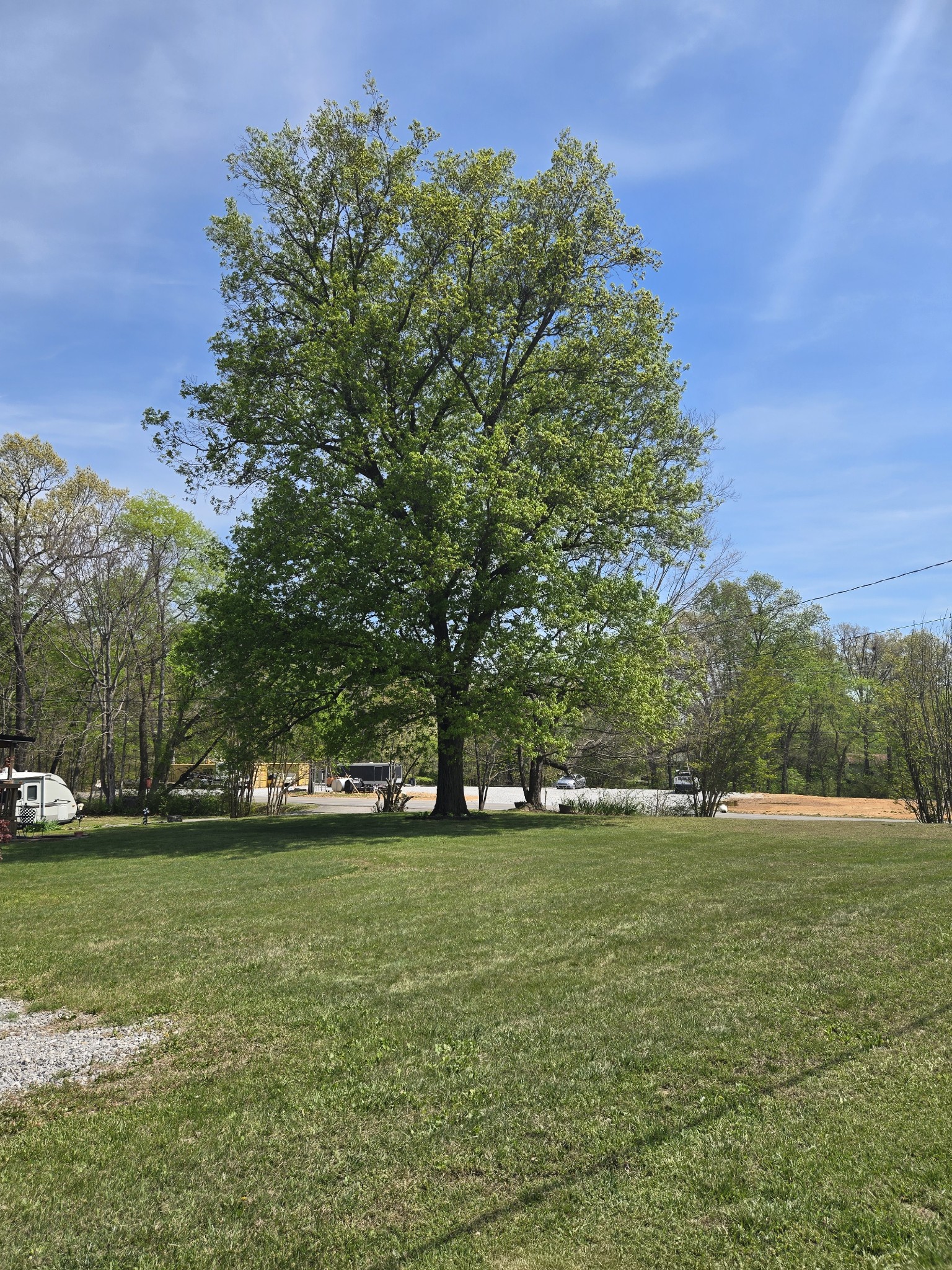 1605 New Dry Hollow Road Vanleer, TN 37181 - Photo 34 of 40 a view of outdoor space with deck and yard