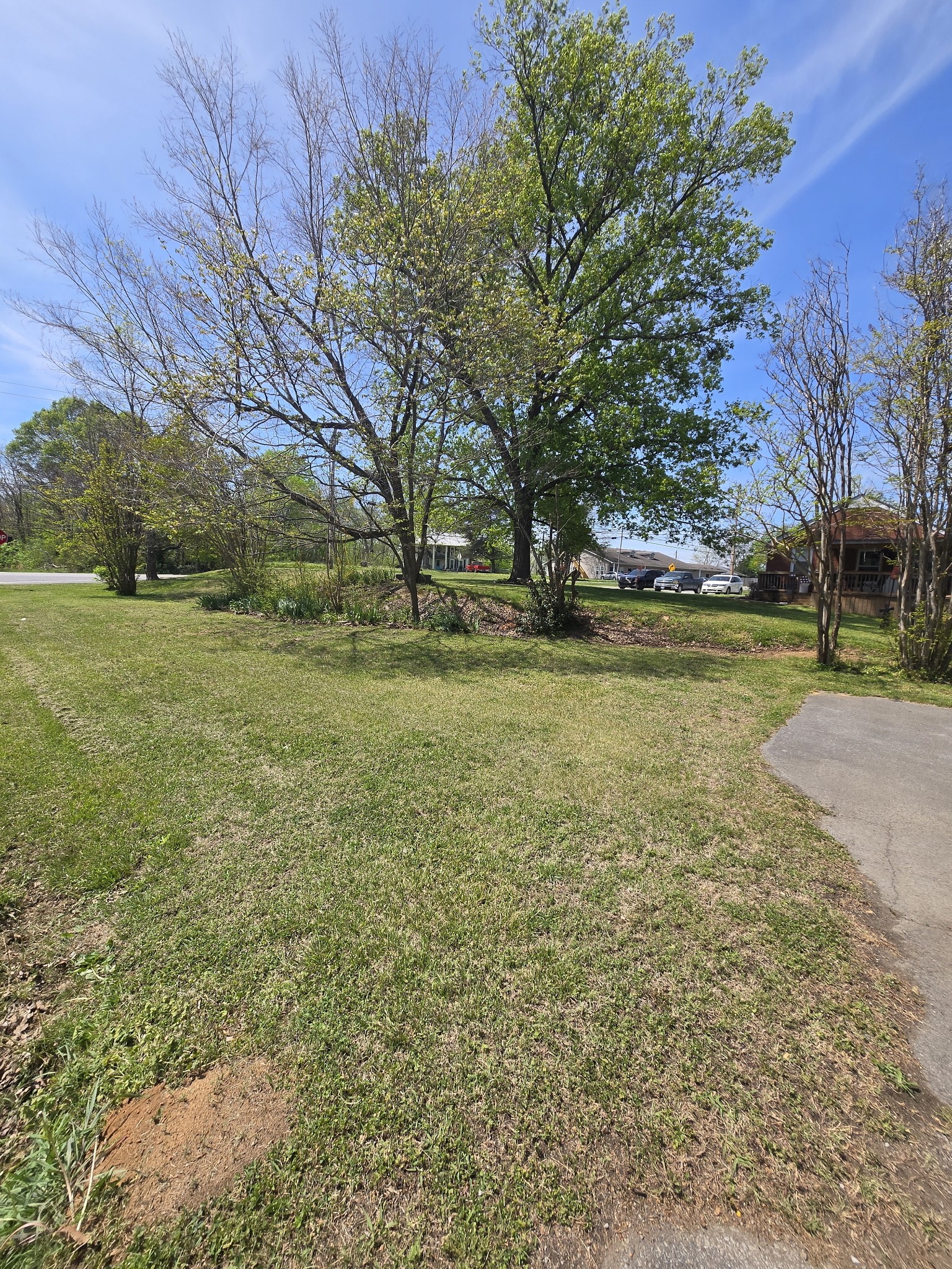 1605 New Dry Hollow Road Vanleer, TN 37181 - Photo 35 of 40 a view of a field with trees
