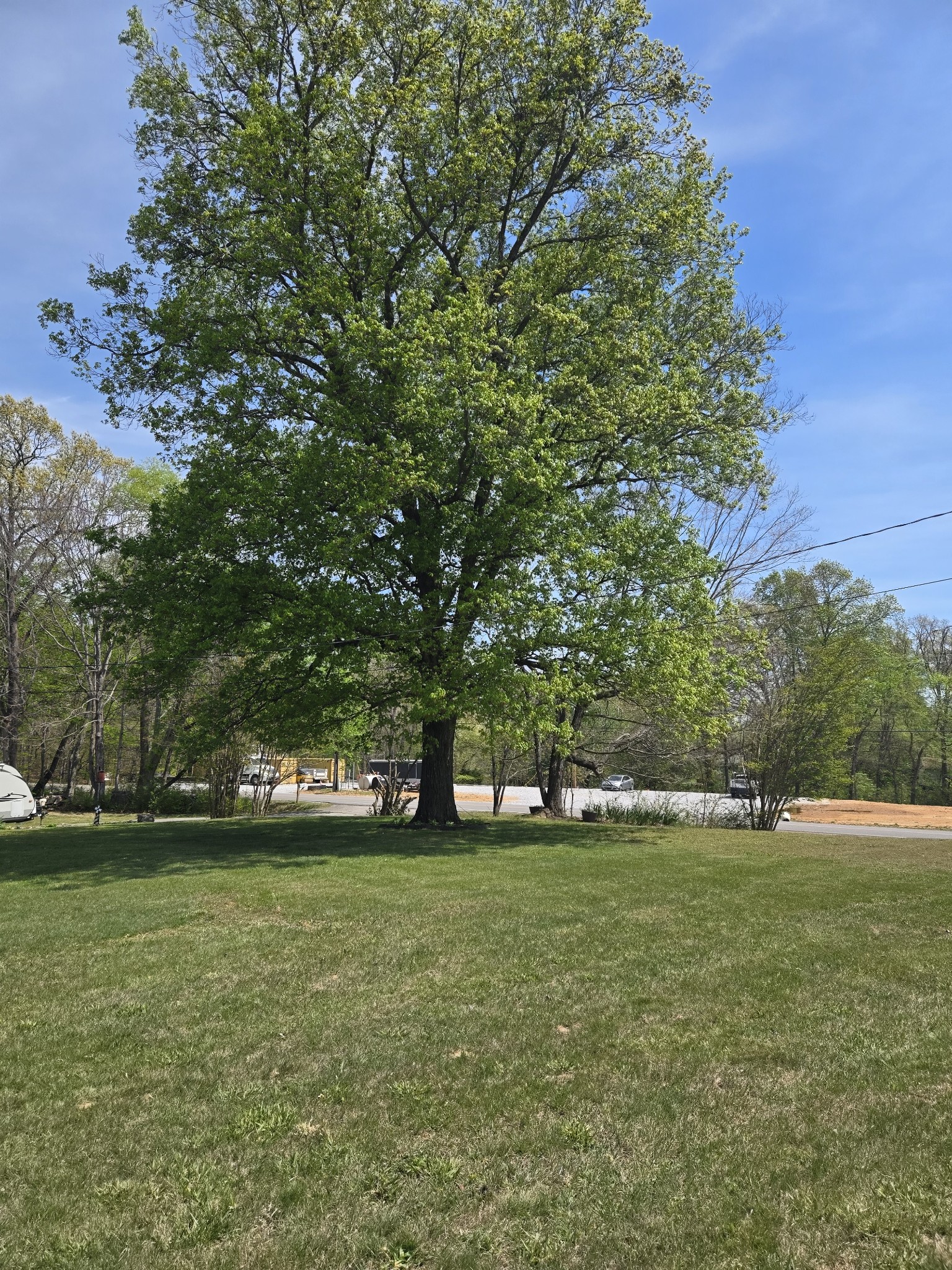 1605 New Dry Hollow Road Vanleer, TN 37181 - Photo 36 of 40 a view of outdoor space with deck and yard