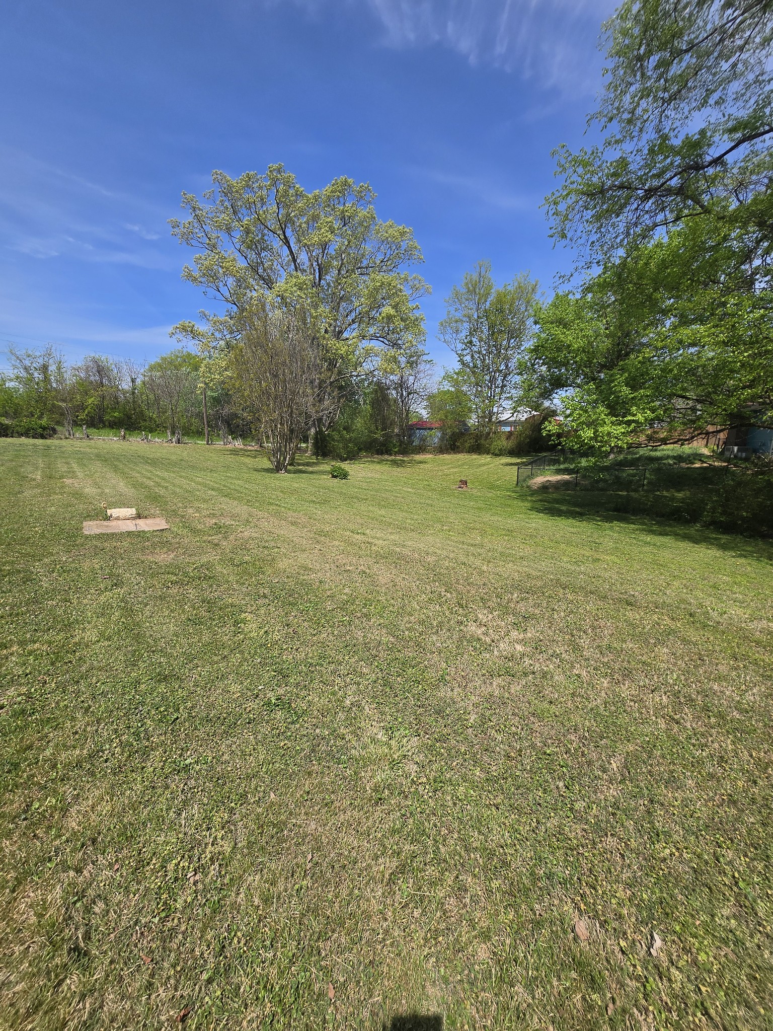 1605 New Dry Hollow Road Vanleer, TN 37181 - Photo 37 of 40 a view of a field with an trees
