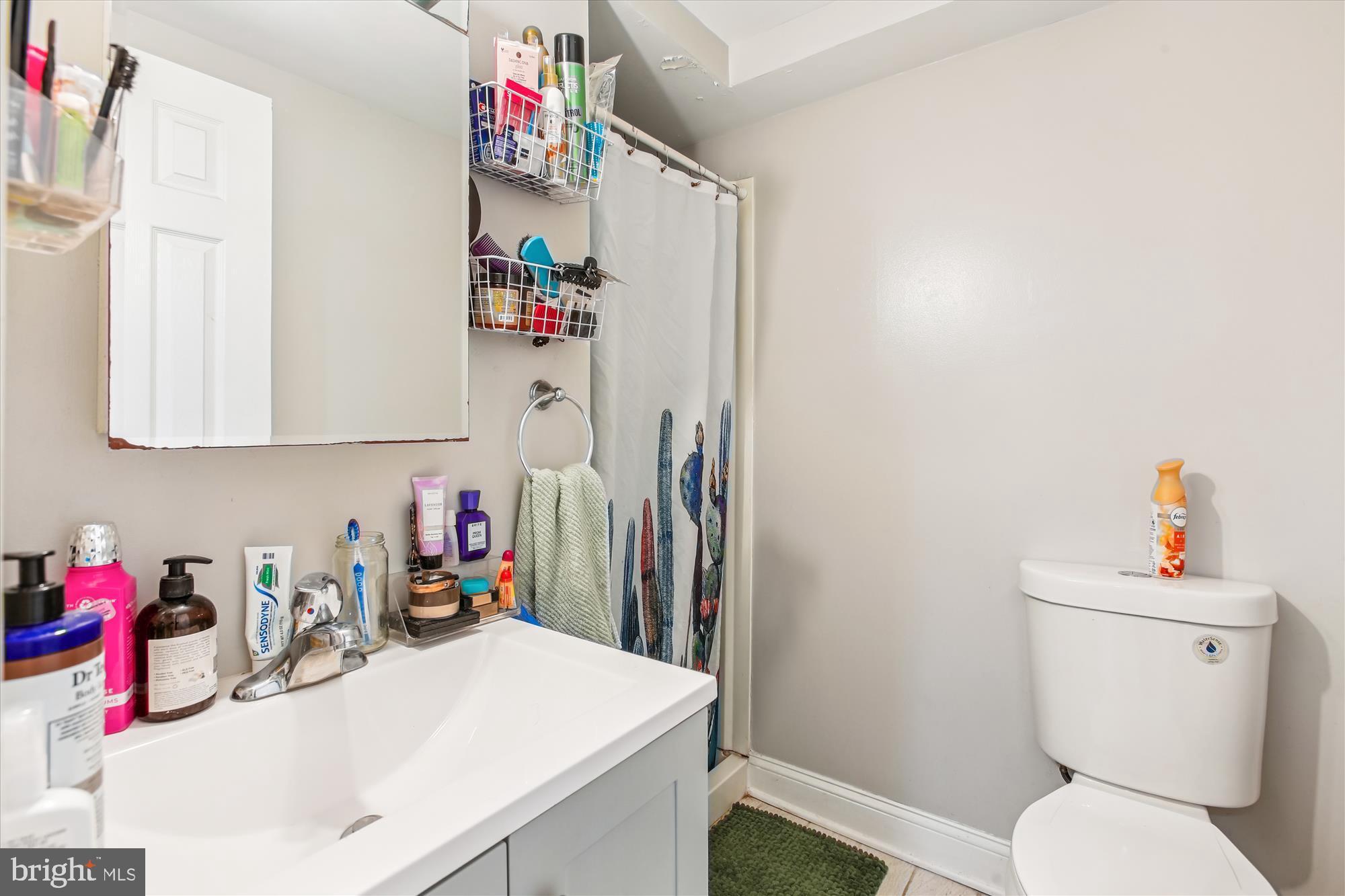 1610 4th Street Northwest Washington, DC 20001 - Photo 40 of 47 a bathroom with a sink vanity mirror and toilet