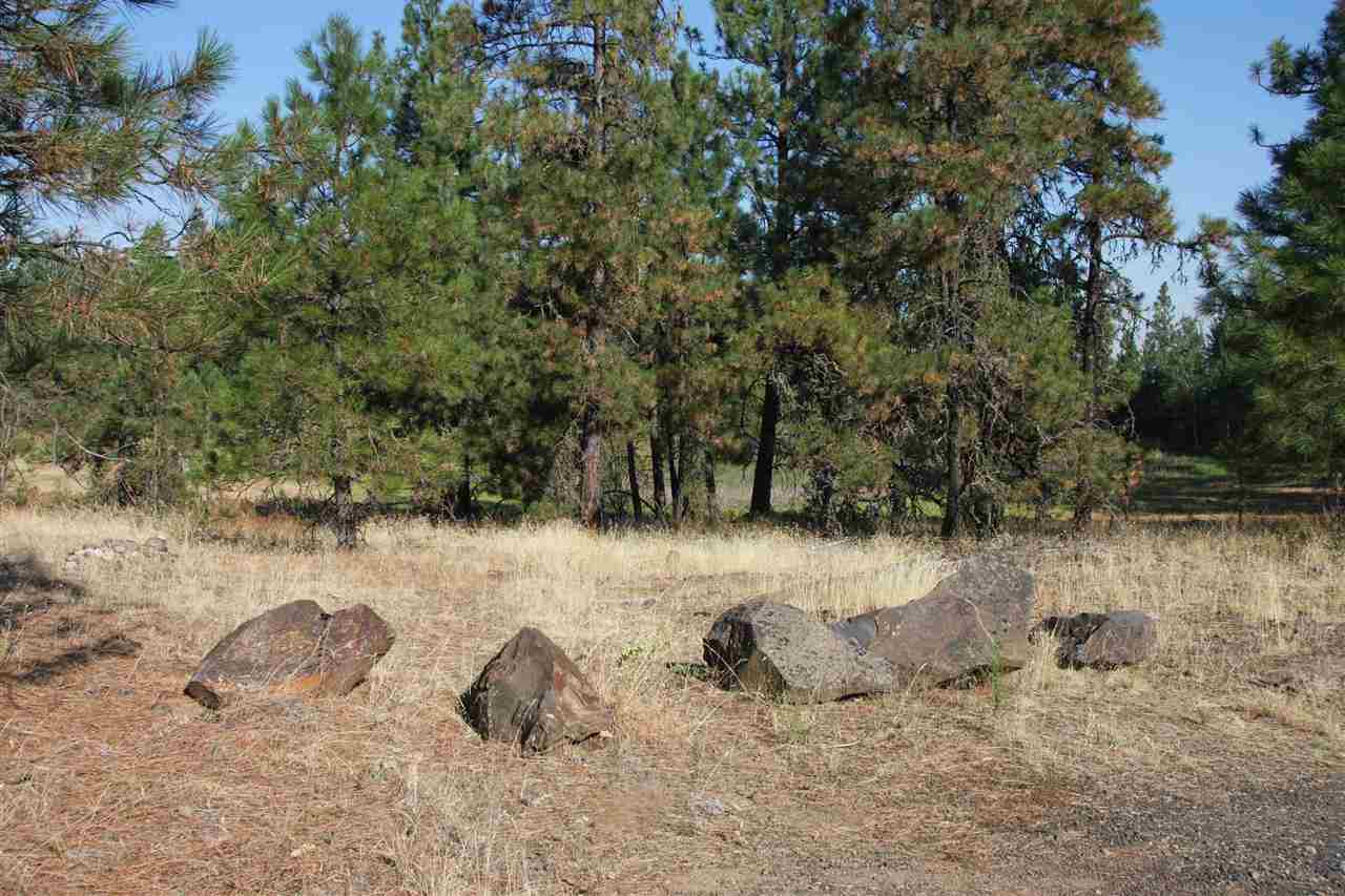 14000 South Sherman Road, Unit PARCEL B Spokane, WA 99224 - Photo 2 of 7