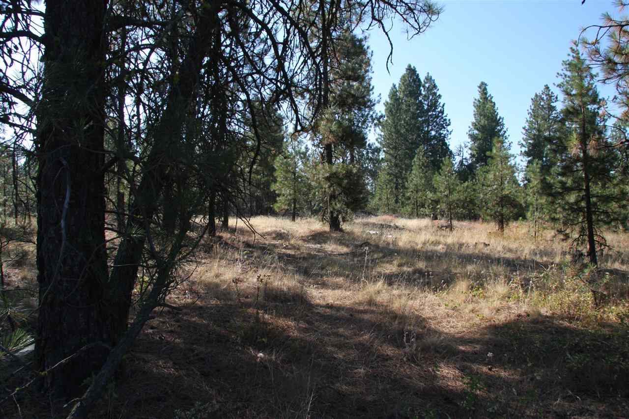 14000 South Sherman Road, Unit PARCEL B Spokane, WA 99224 - Photo 3 of 7