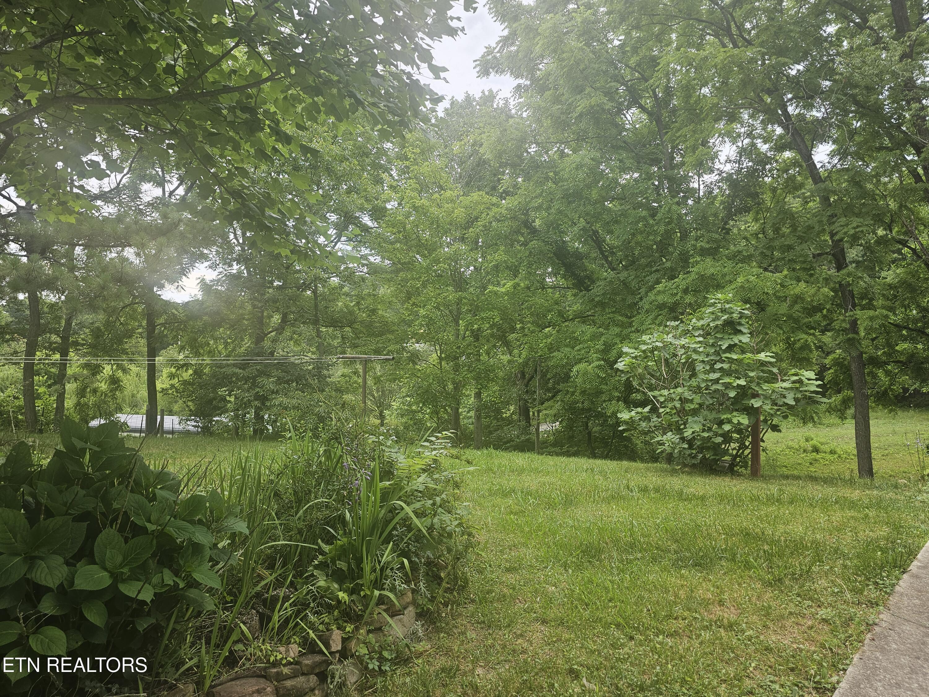 925 Tweed Springs Road Greeneville, TN 37743 - Photo 45 of 53 20260618_175605