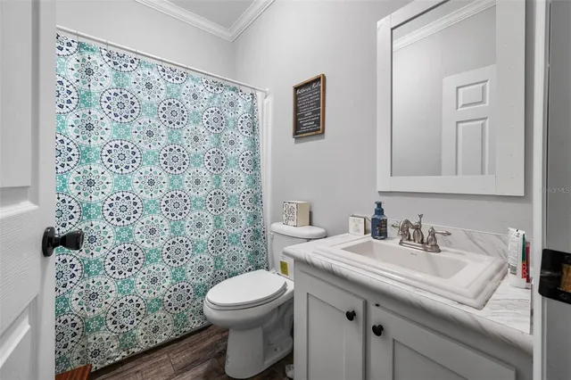 a bathroom with a sink a toilet and shower curtain