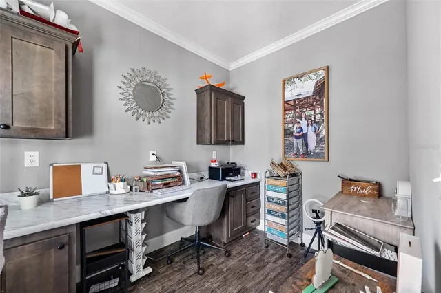 a view of a tree in the middle of a yard