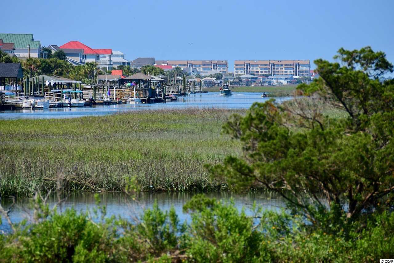 307 Pine Street Murrells Inlet, SC 29576 - Photo 22 of 25