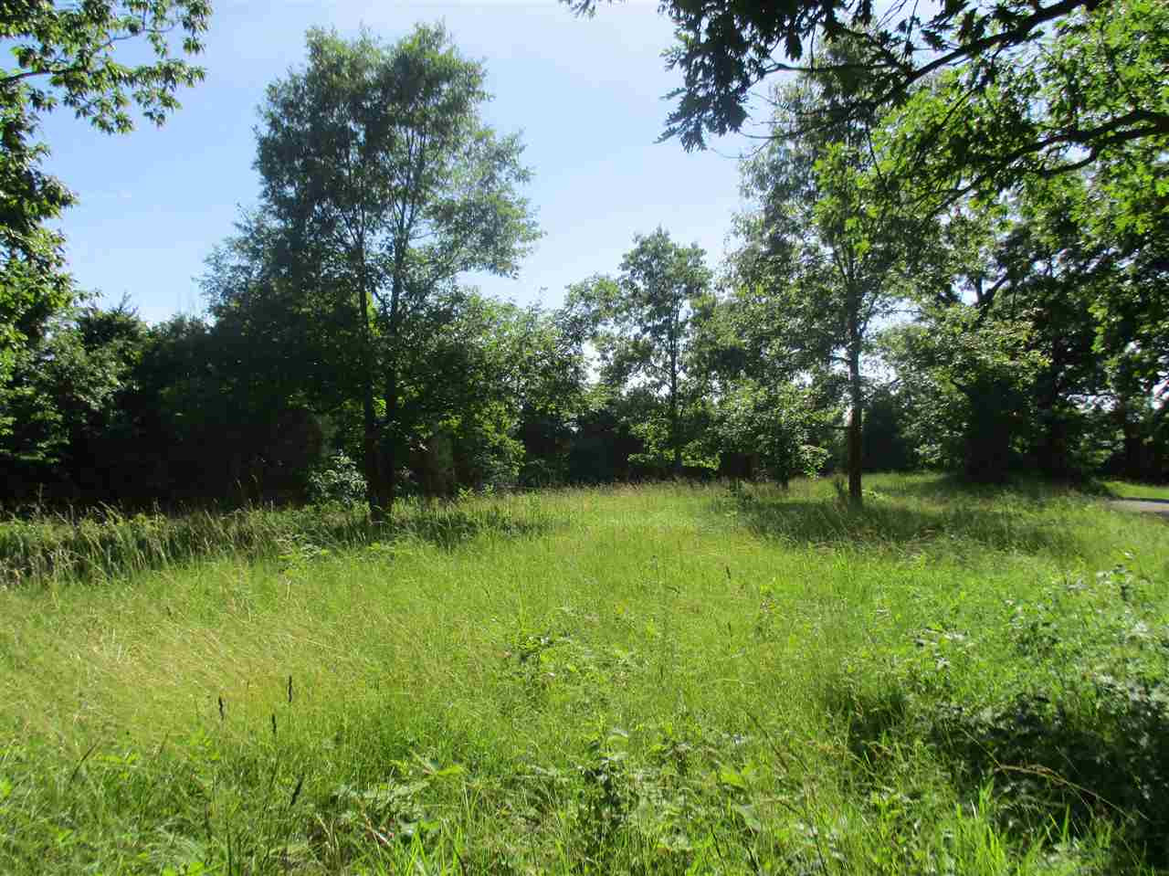 6.75-acres Liberty Ridge Road Falmouth, KY 41040 - Photo 14 of 21 Gallery Image 14