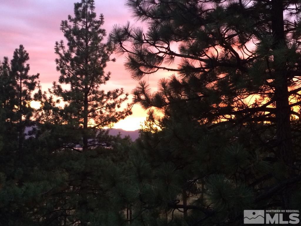 233 Clubhouse Circle Stateline, NV 89449 - Photo 22 of 28 a picture of tree