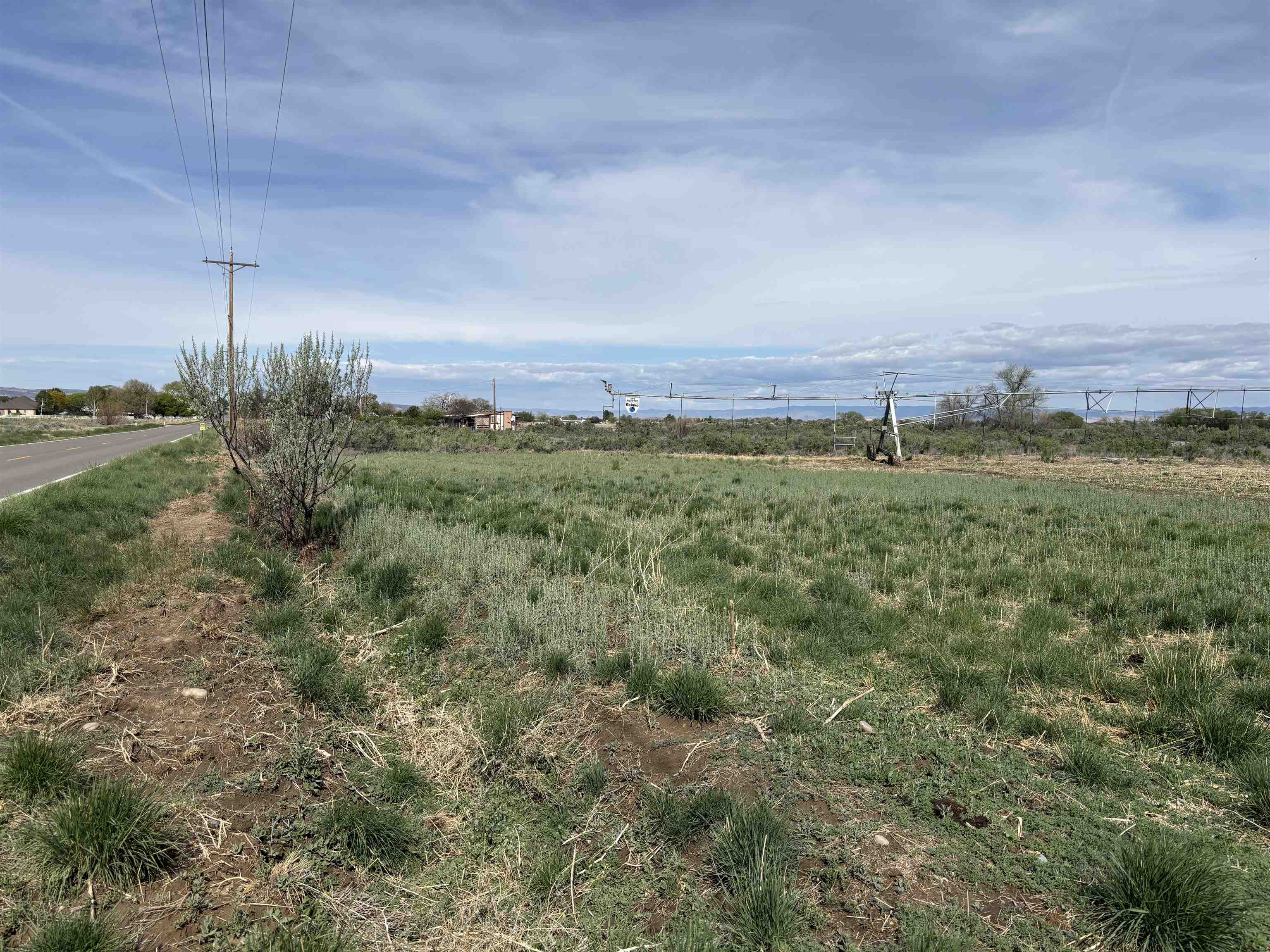 1950 L Road Fruita, CO 81521 - Photo 1 of 6 a view of a field and trees in the background