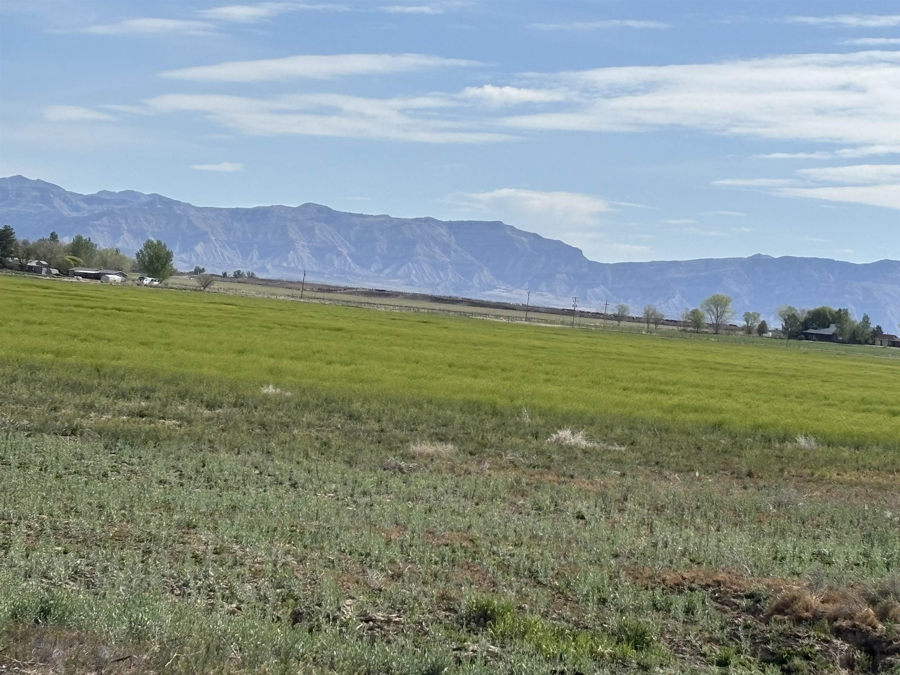 1950 L Road Fruita, CO 81521 - Photo 3 of 6 a view of an ocean and a mountain