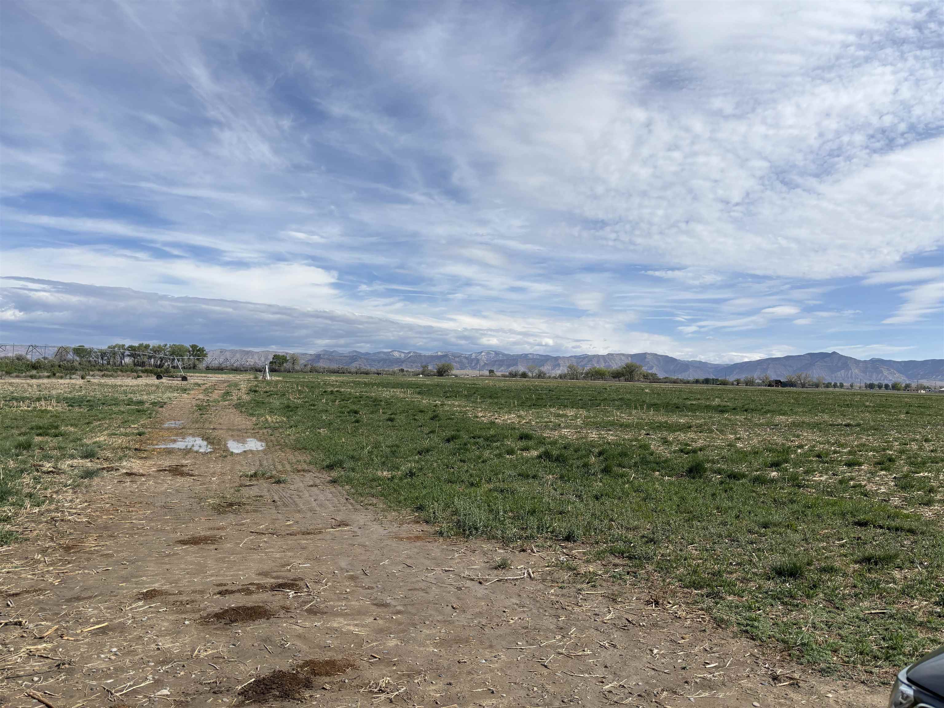 1950 L Road Fruita, CO 81521 - Photo 5 of 6 a view of a city with an ocean