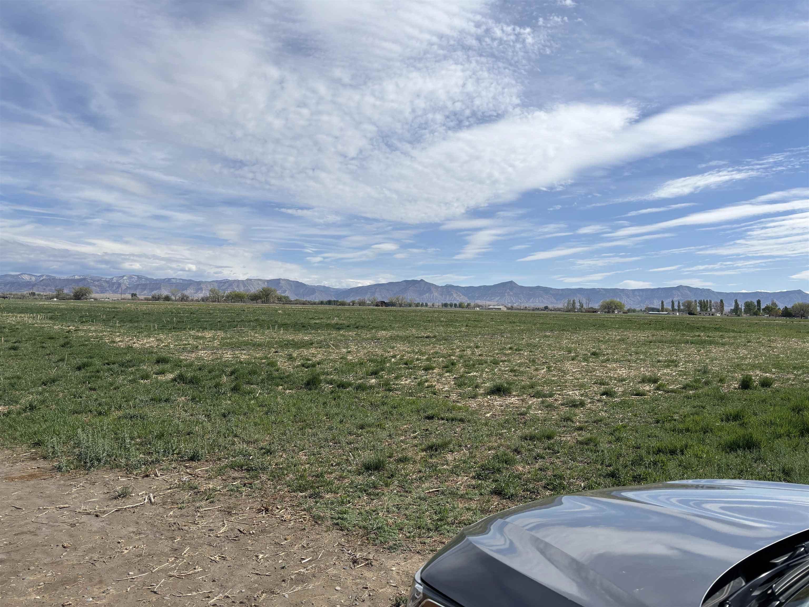 1950 L Road Fruita, CO 81521 - Photo 6 of 6 a view of a yard with an outdoor seating