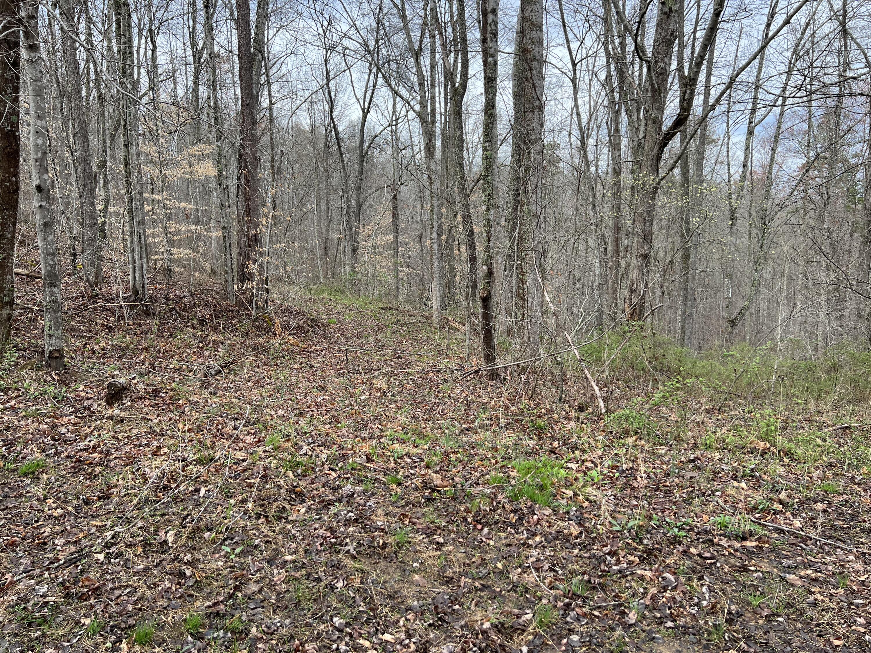 1800 South Tree Tower Road McKee, KY 40447 - Photo 10 of 32 IMG_0956