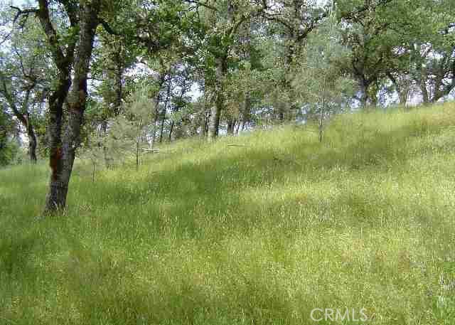 15709 Cache Creek Road Clearlake Oaks, CA 95423 - Photo 2 of 3 a view of a lush green space
