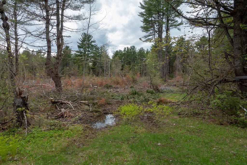 Lot 6 Myra Road Holden, ME 04429 - Photo 21 of 29 DSC00103 (Copy)
