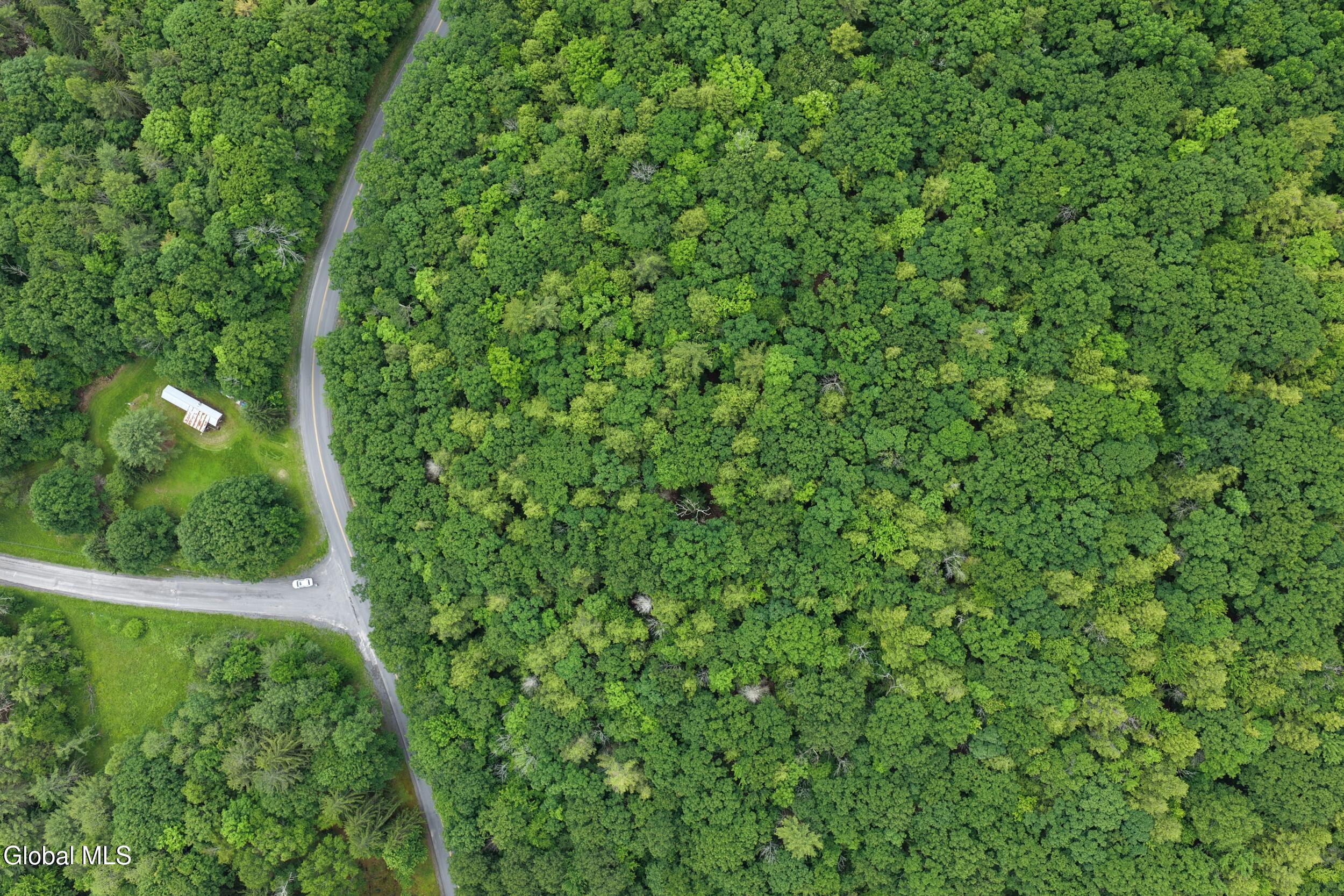 L1.00 Cotton Hill Road Middleburgh, NY 12122 - Photo 9 of 17 dji_20260616013808_0055_d