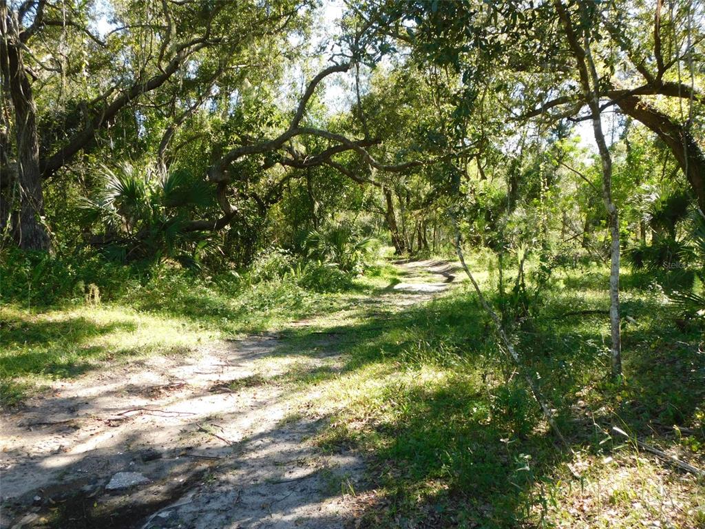 2221 Northwest Pineview Road Arcadia, FL 34266 - Photo 1 of 1 Gallery Image 1