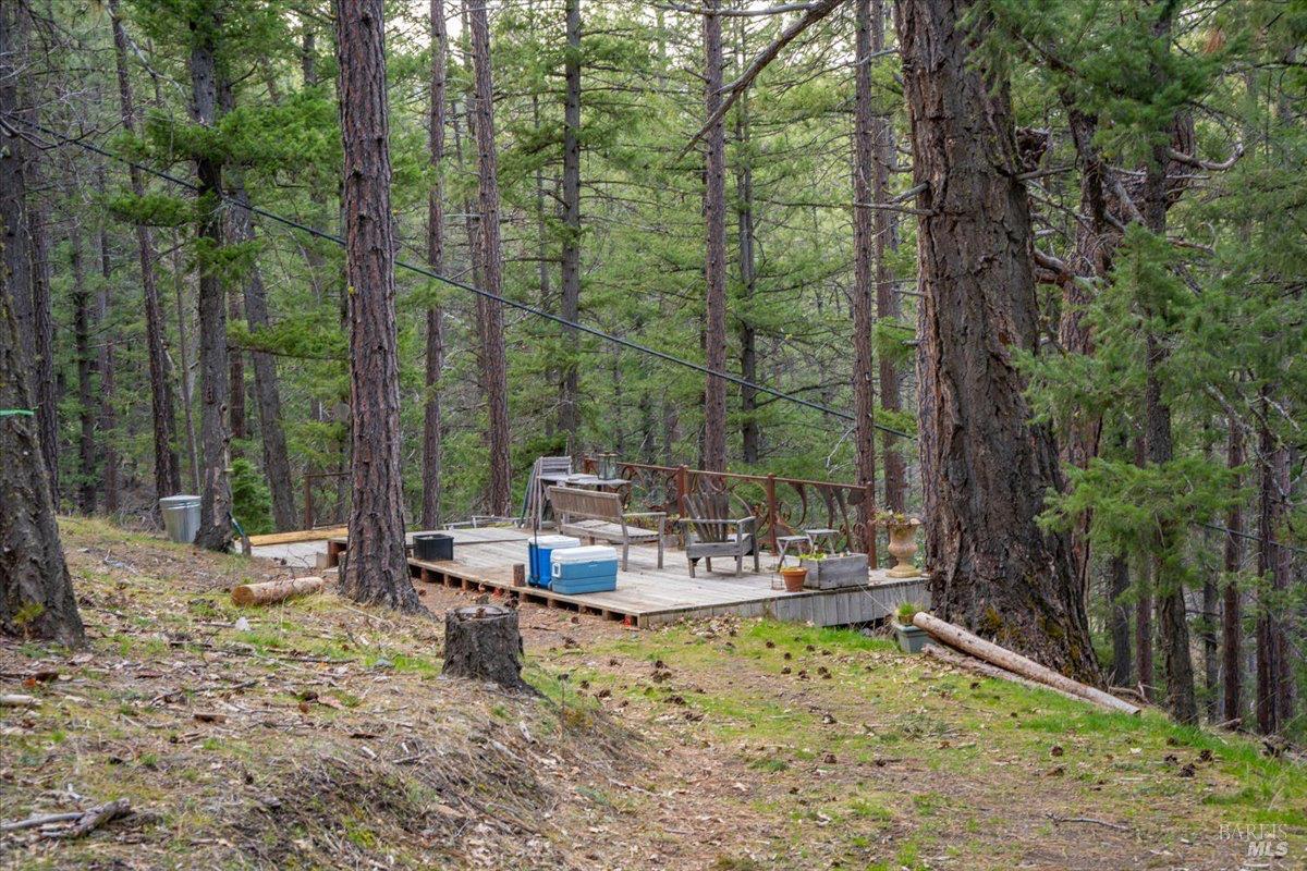 100 Blue Wolf Ranch Callahan, CA 96014 - Photo 36 of 46