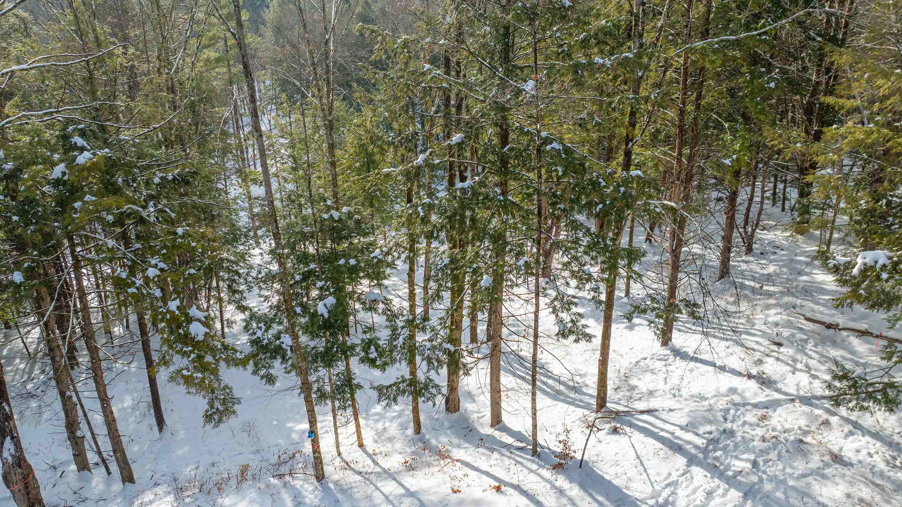 0 Fay Lane, Unit 7226 AND 7227 Quechee, VT 05059 - Photo 8 of 21