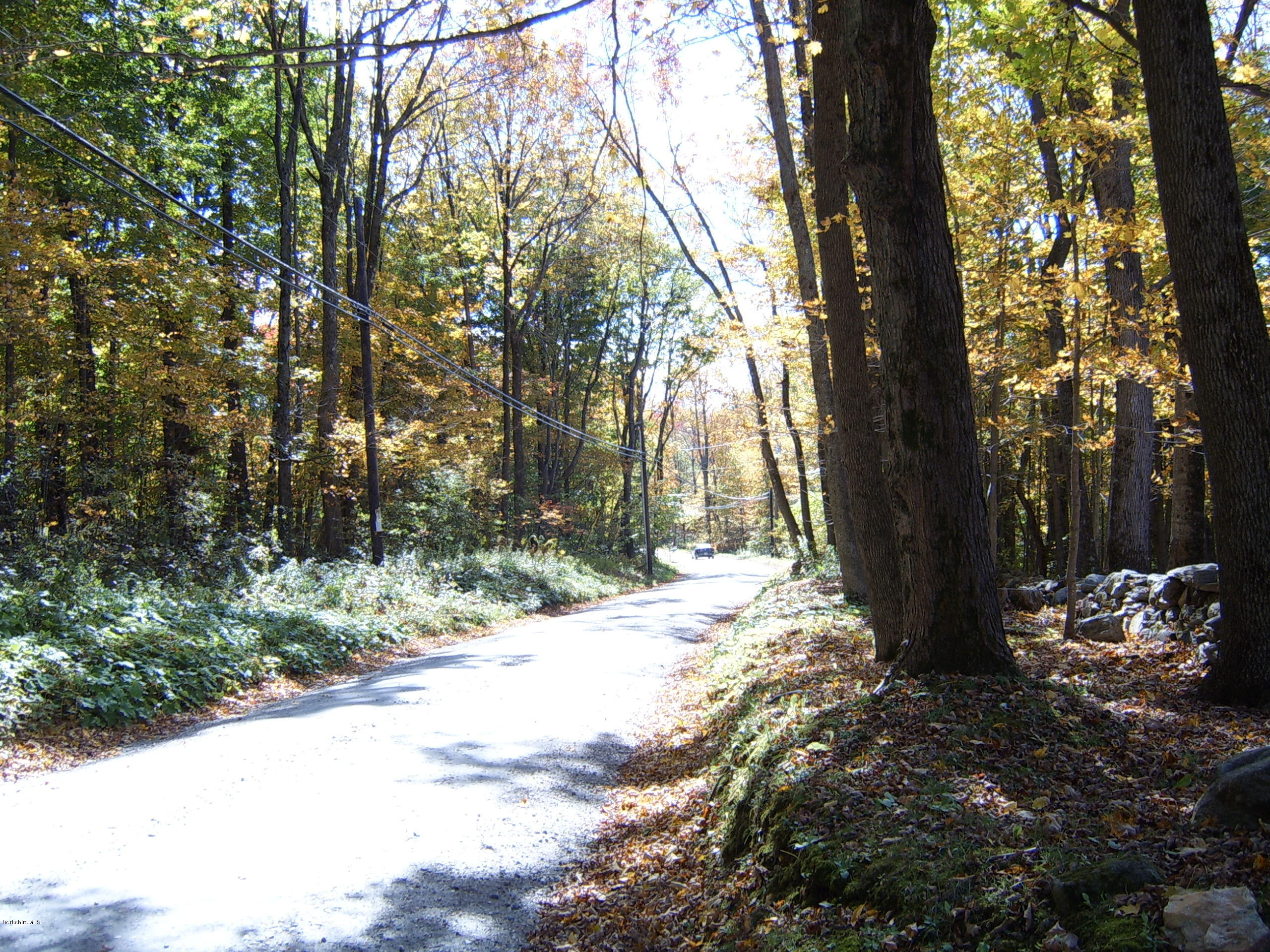 Woodmere Road Becket, MA 01223 - Photo 4 of 4 a view of a yard with trees