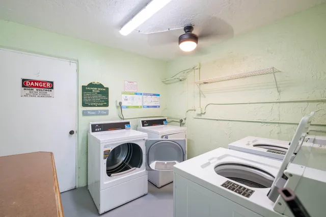 a view of a backyard with plants and palm tree