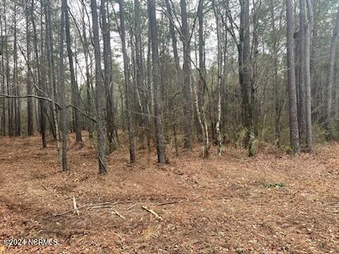 Wooded Lot