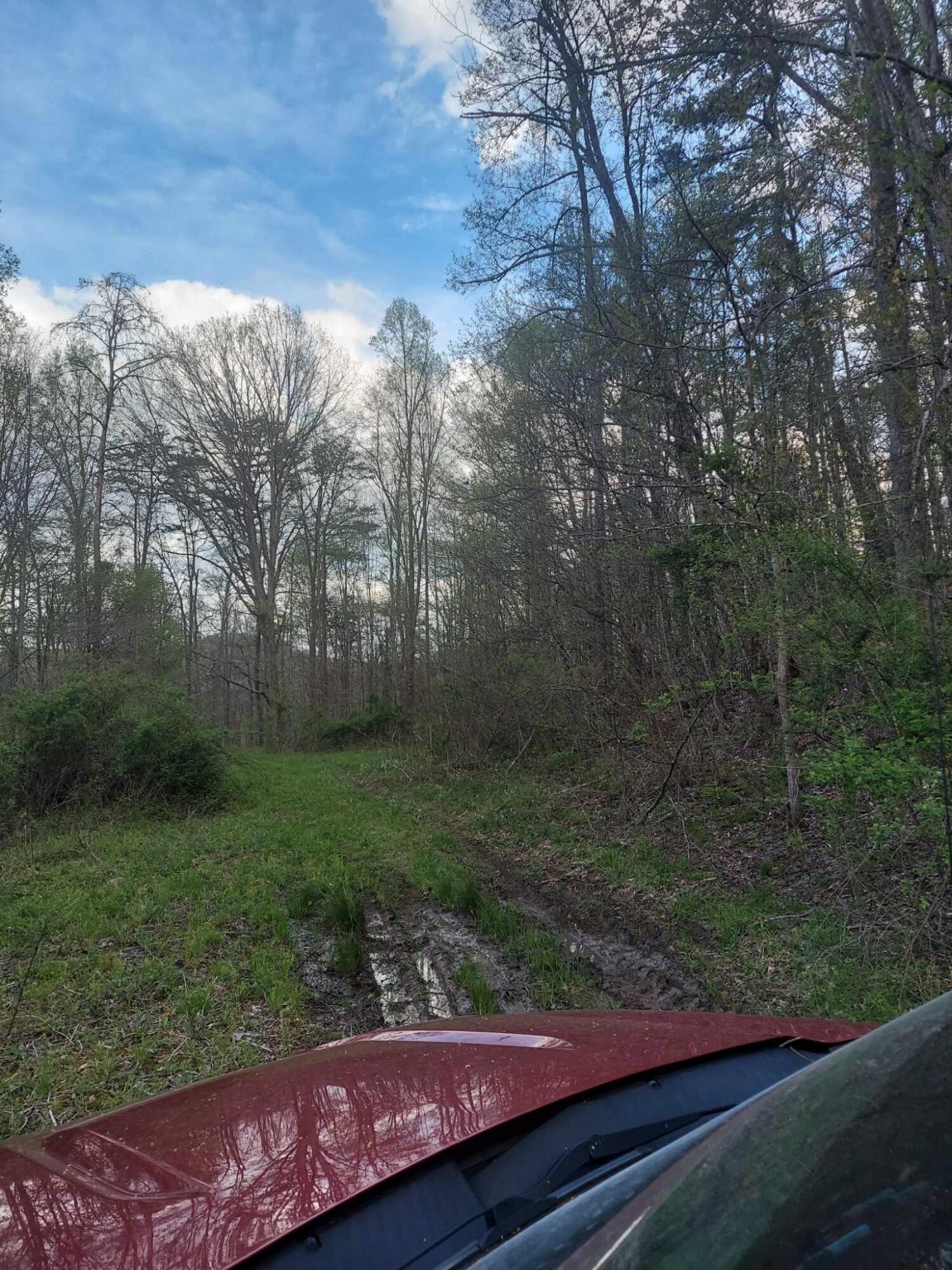 0 Herd Road McKee, KY 40447 - Photo 8 of 10 IMG_1442