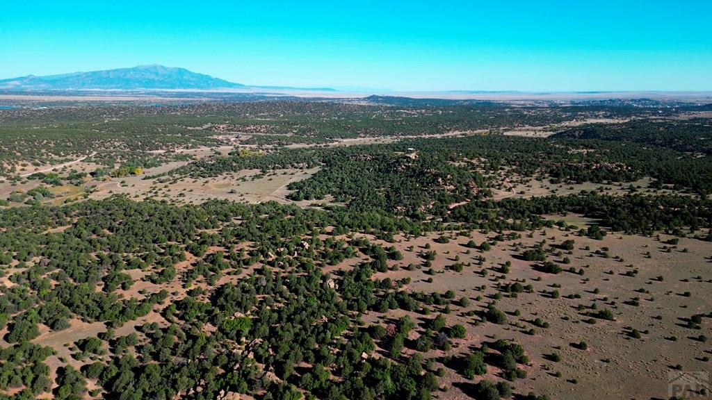 Tbd Bear Creek Road Walsenburg, CO 81089 - Photo 34 of 37