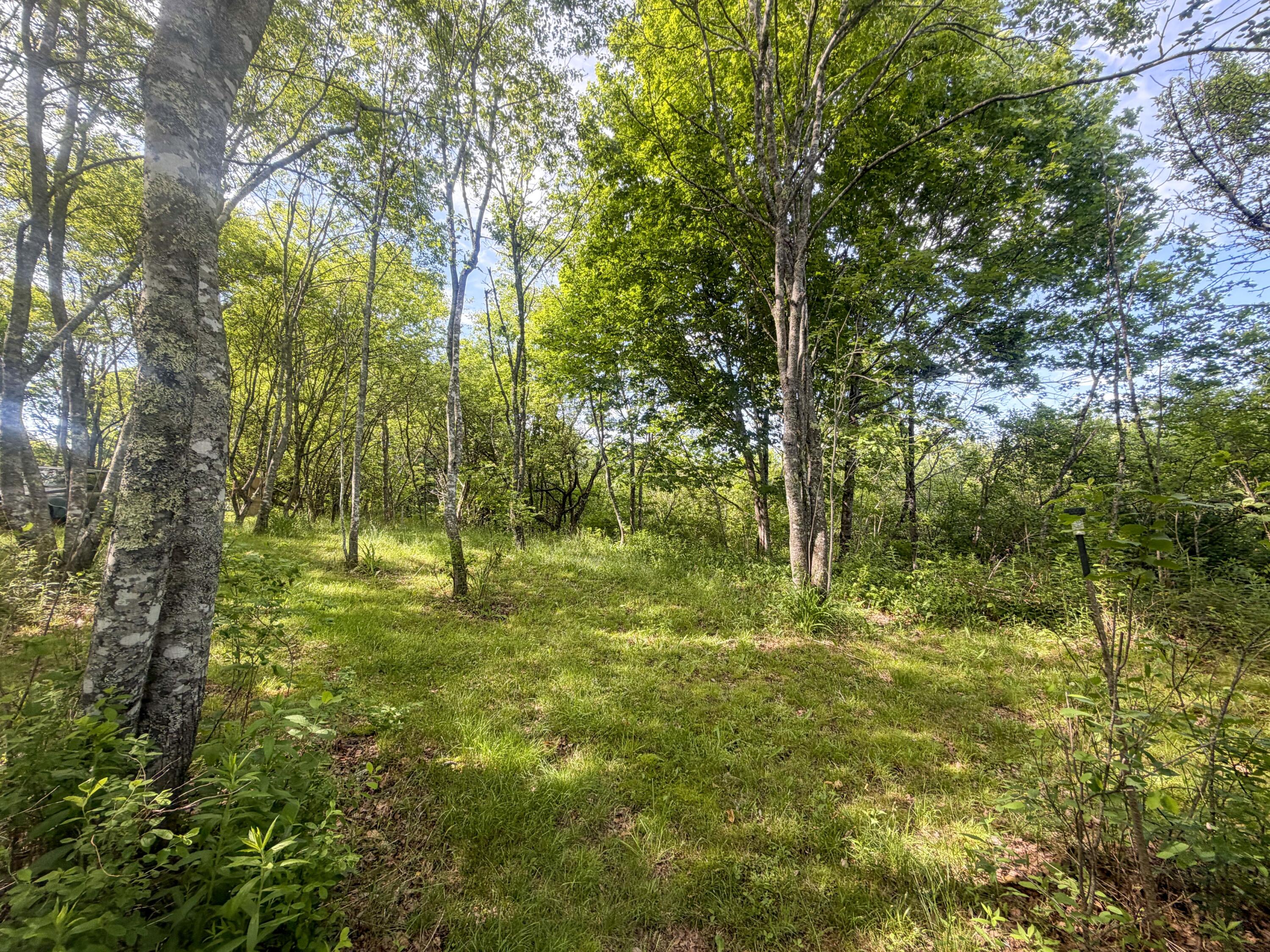 39 Jacksonville Road East Machias, ME 04630 - Photo 15 of 17