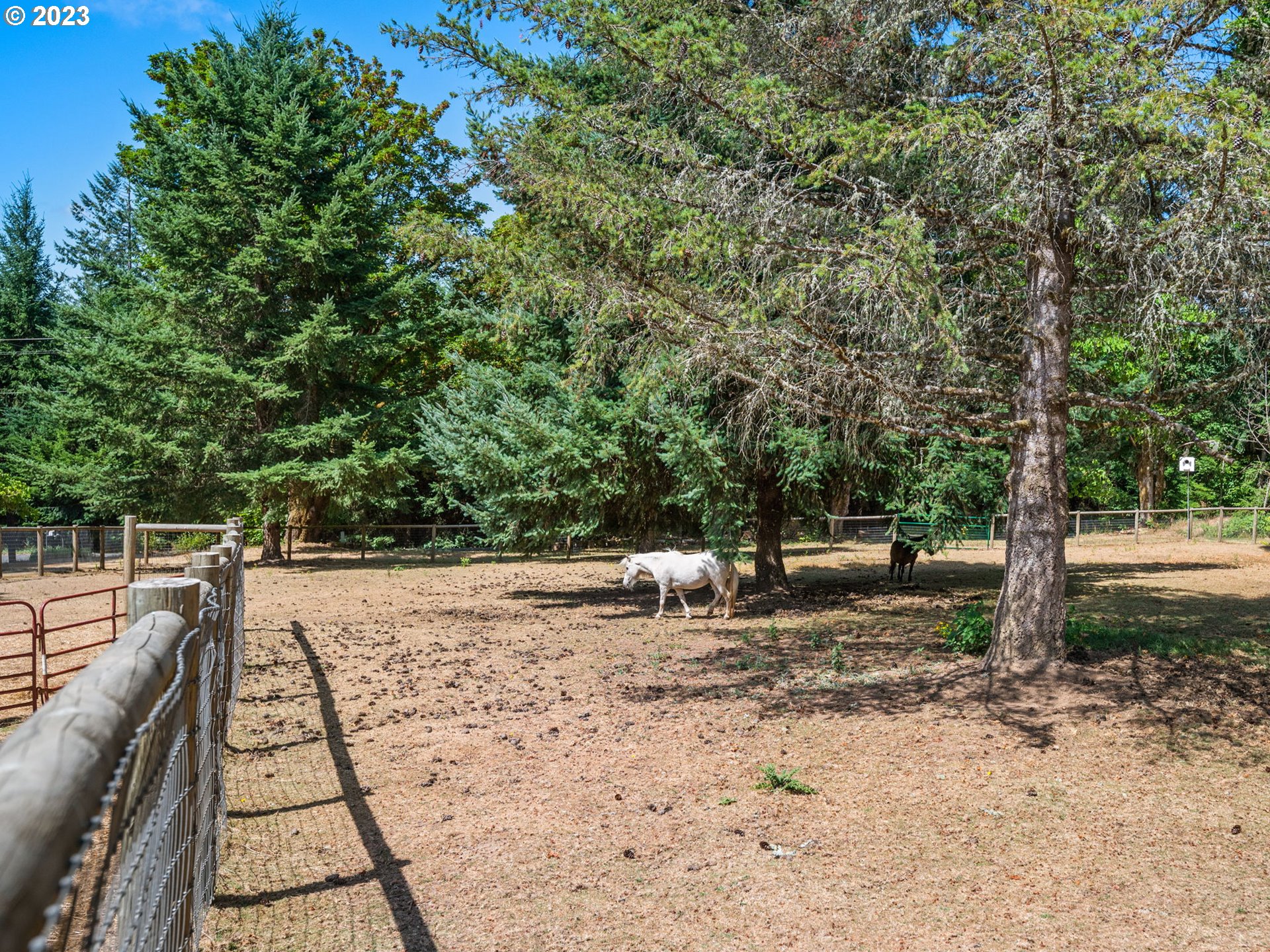 60586 Robinette Road St. Helens, OR 97051 - Photo 40 of 47 Gallery Image 40