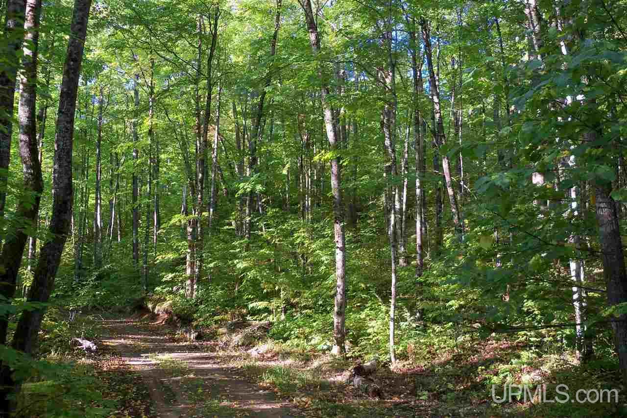 26 Co Road Negaunee, MI 49866 - Photo 1 of 31