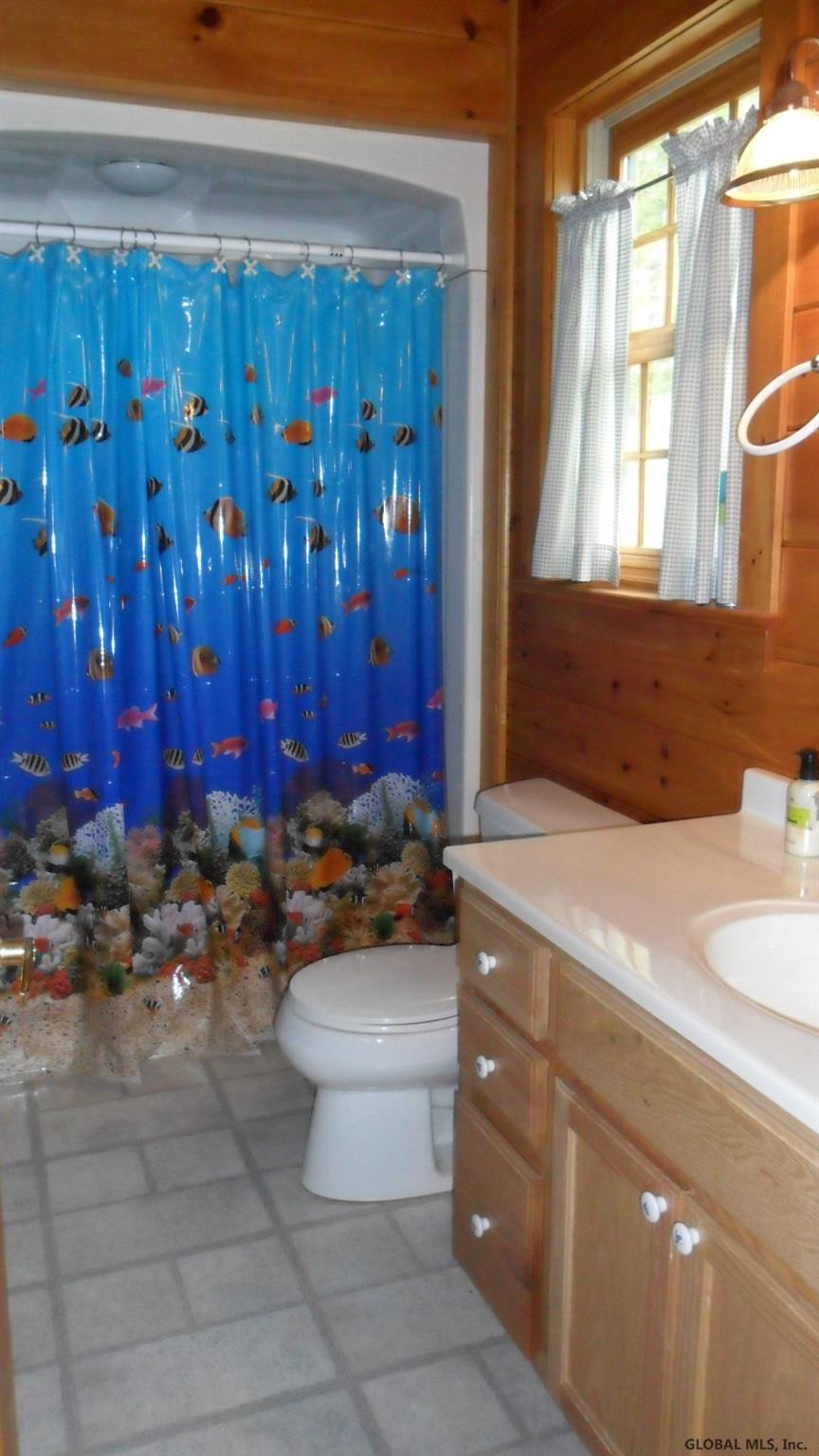 25 Sauerman Road Minerva, NY 12851 - Photo 29 of 33 Photo 29