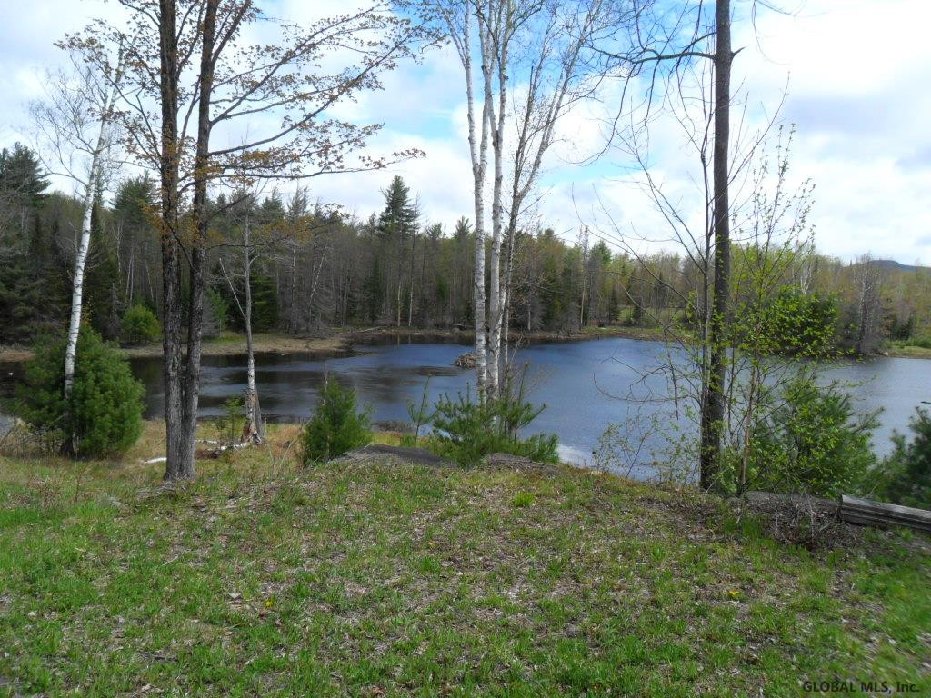 25 Sauerman Road Minerva, NY 12851 - Photo 3 of 33 Photo 3