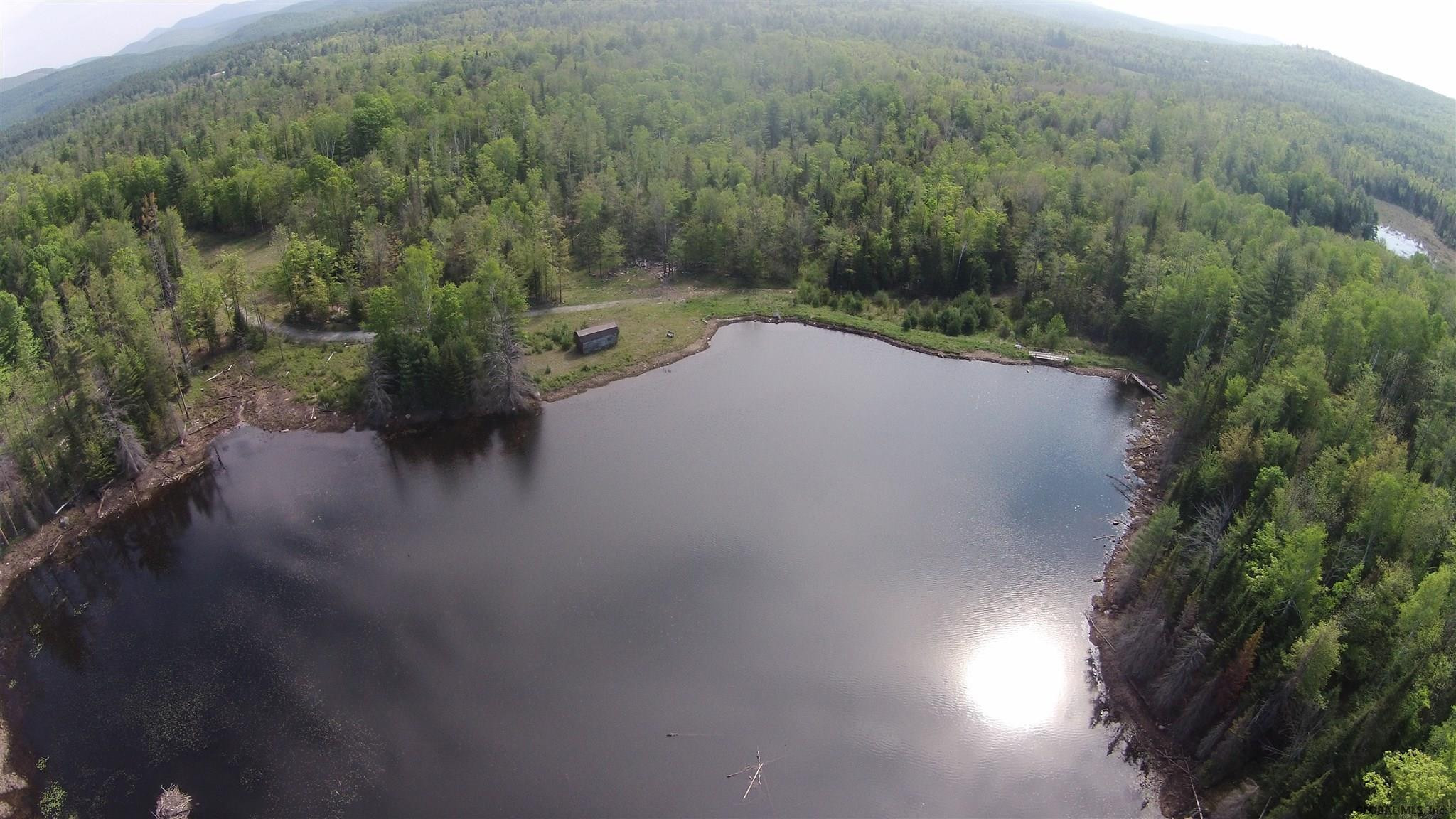 25 Sauerman Road Minerva, NY 12851 - Photo 5 of 33 Drone video available
