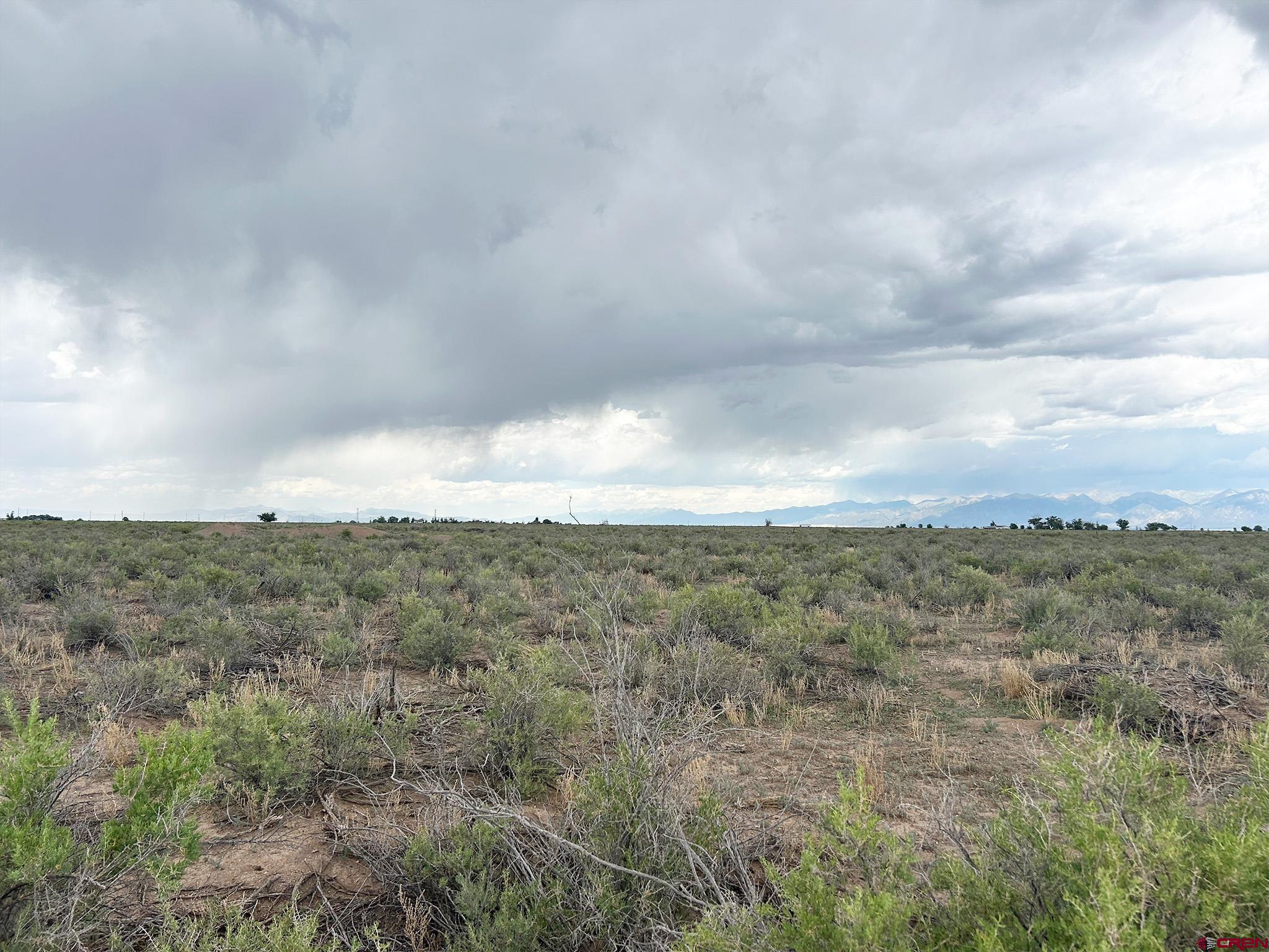 Na Na Pyrite Mosca, CO 81146 - Photo 7 of 7 a view of a dry yard in a field