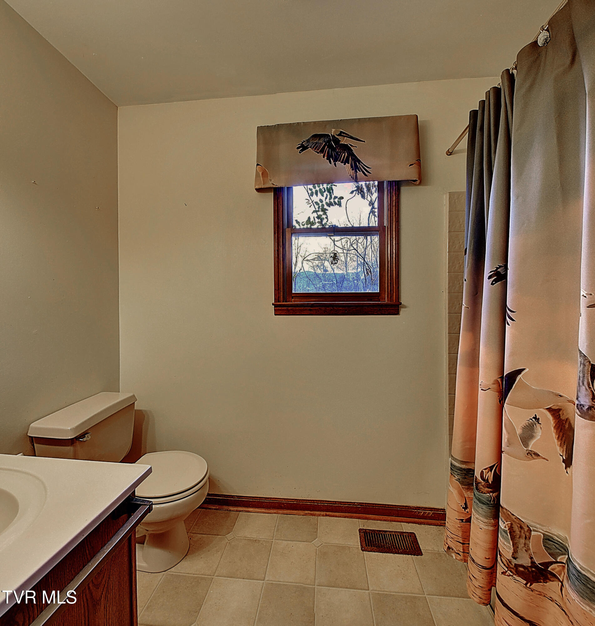 143 Horton Ridge Road Erwin, TN 37650 - Photo 23 of 42 22