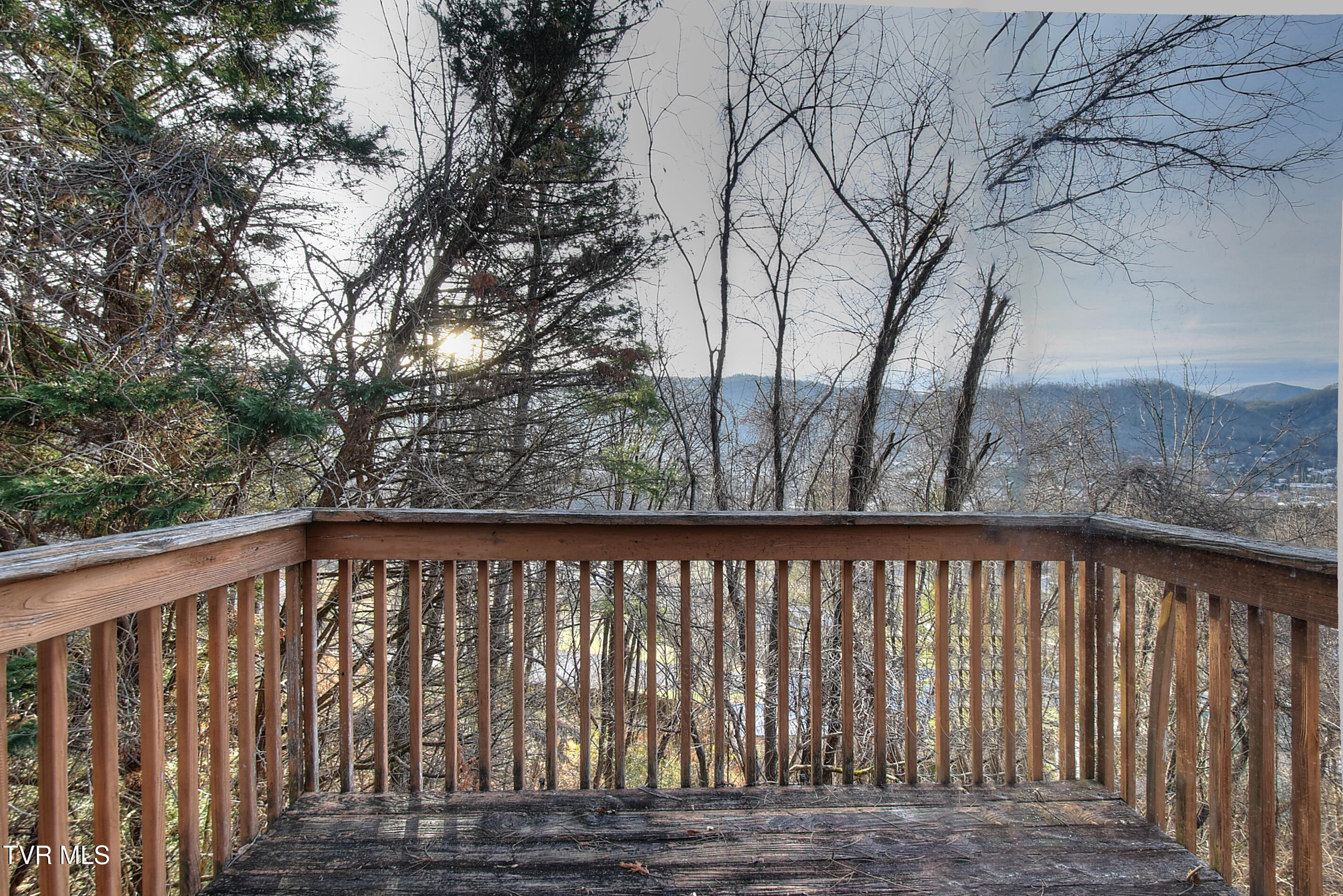 143 Horton Ridge Road Erwin, TN 37650 - Photo 31 of 42 30