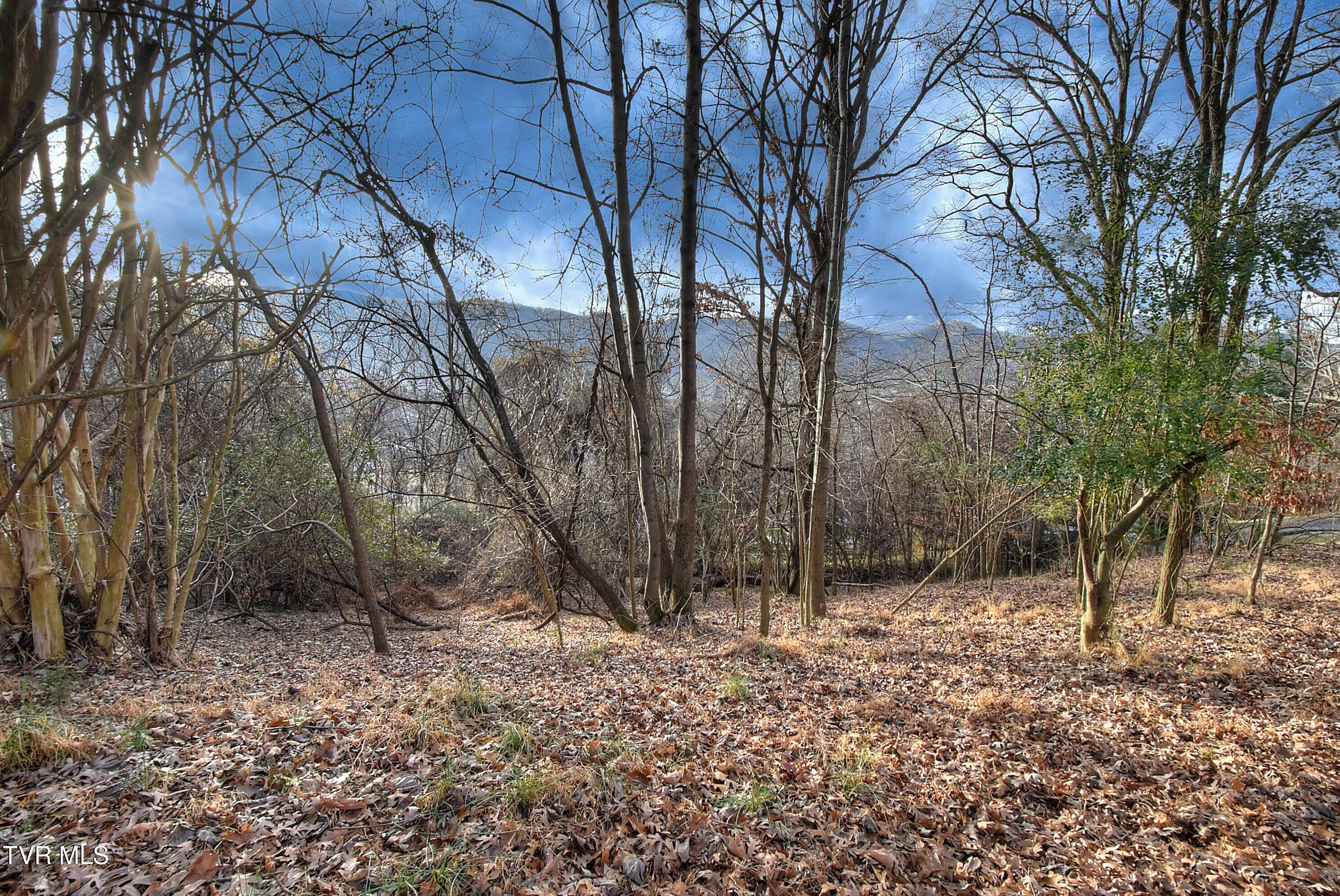 143 Horton Ridge Road Erwin, TN 37650 - Photo 39 of 42 38