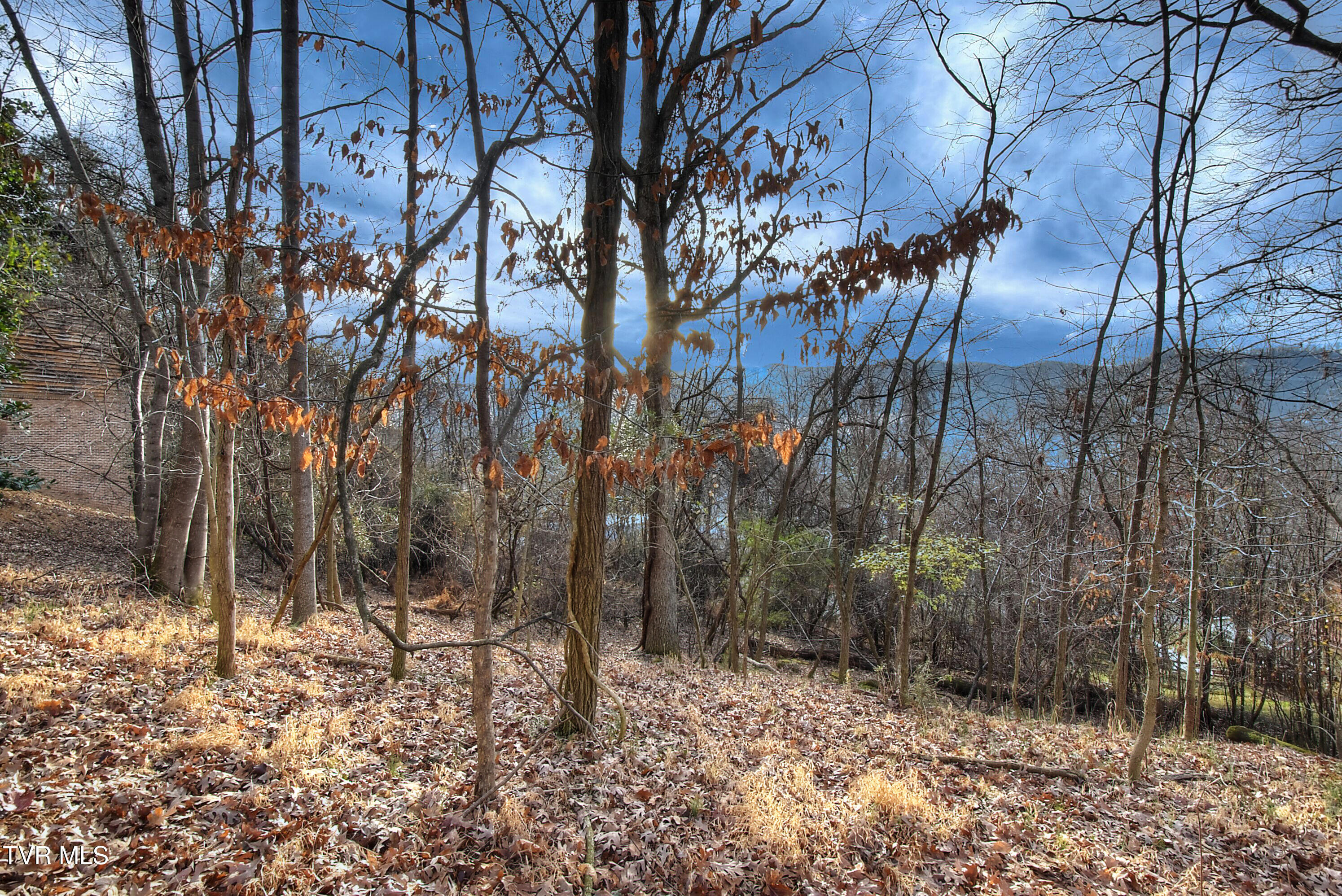 143 Horton Ridge Road Erwin, TN 37650 - Photo 40 of 42 39