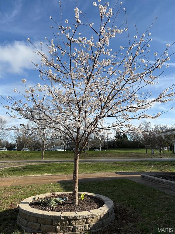 1204 Cedar Creek Road Chesterfield, MO 63017 - Photo 72 of 73